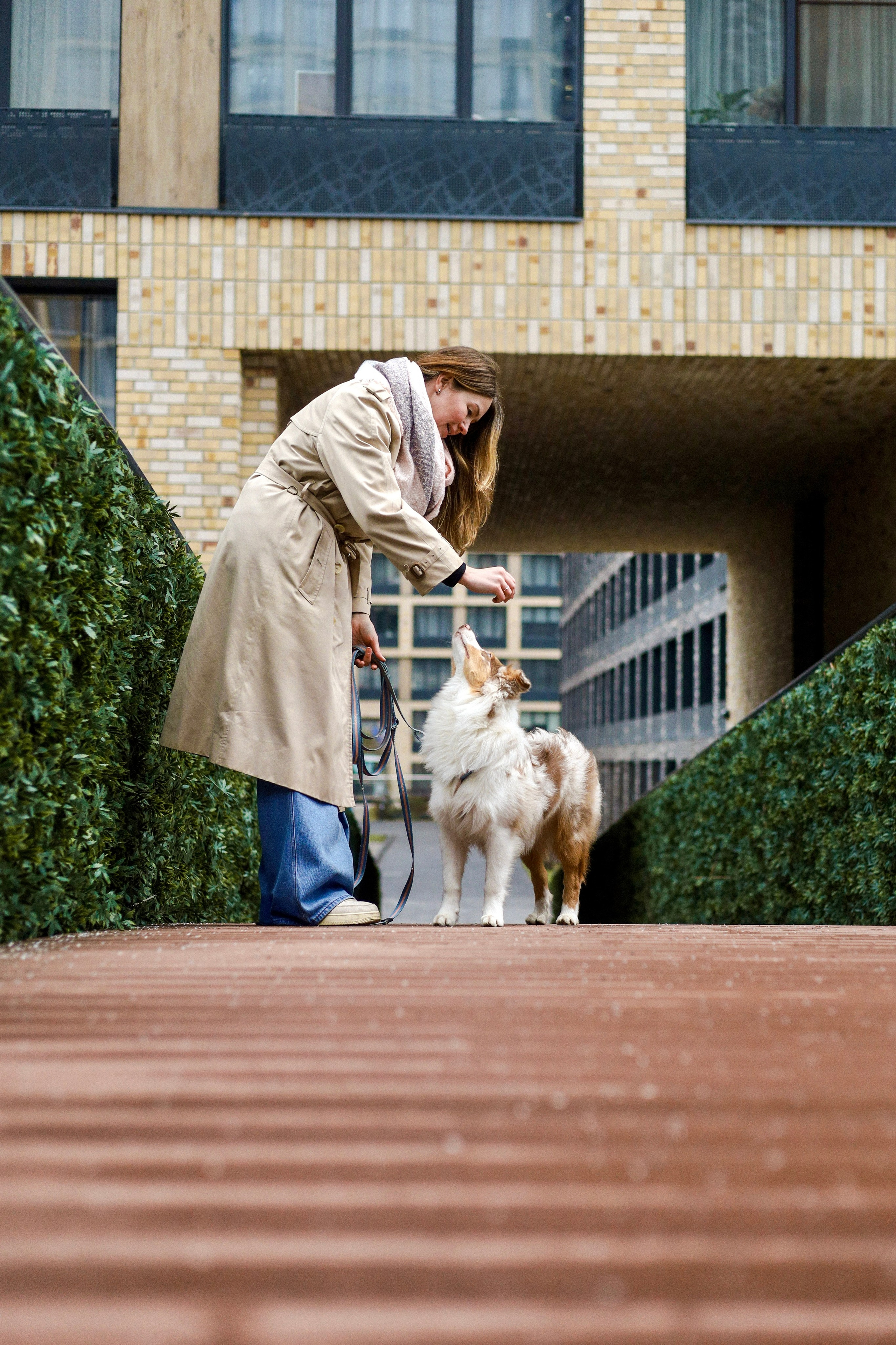 Бри и Яна. Фотограф-анималист Ксения Шевцова|Москва