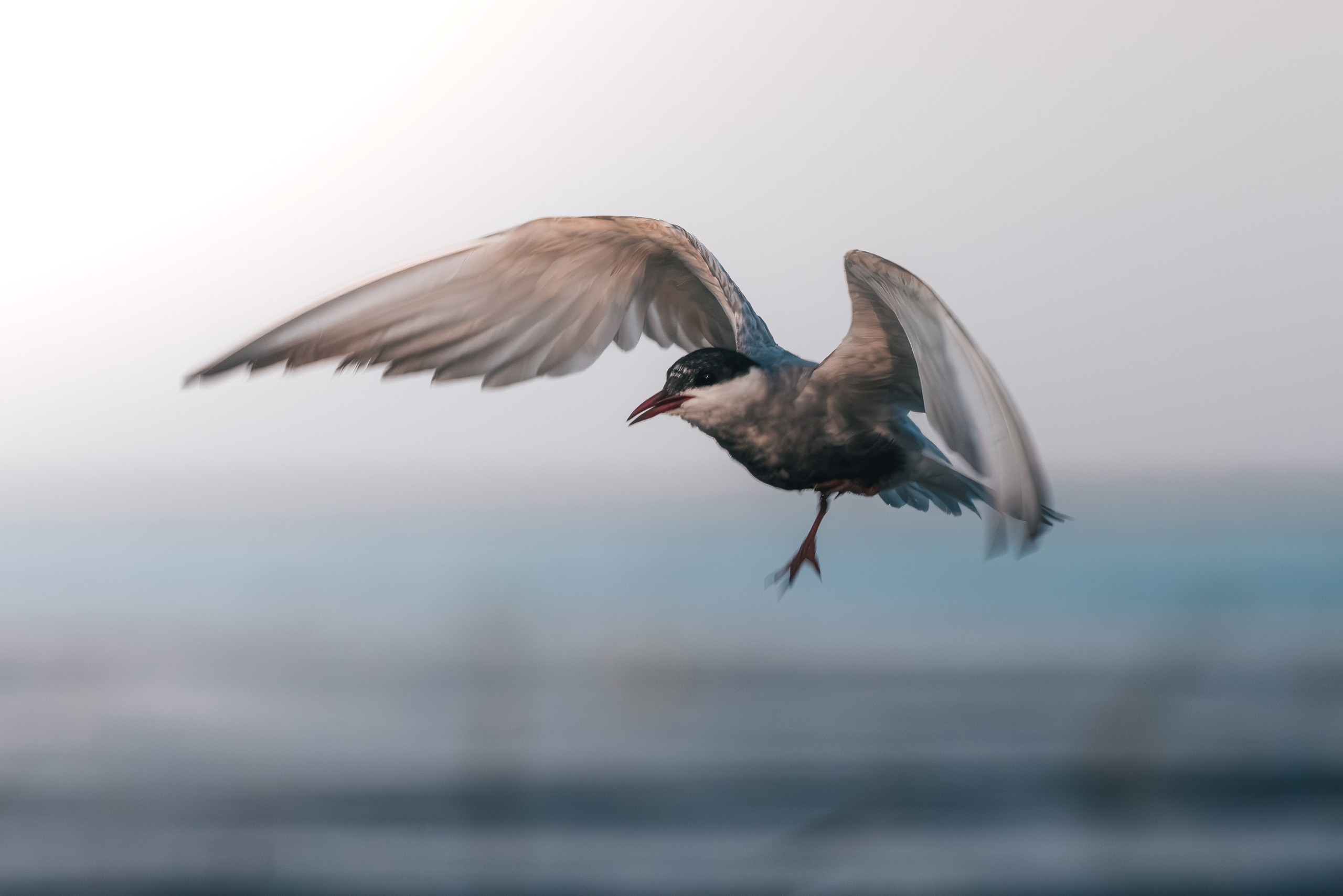 Астраханская область 2025 | Фотограф Дмитрий Купрацевич. Дмитрий Купрацевич профессиональный пейзажный и travel-фотограф