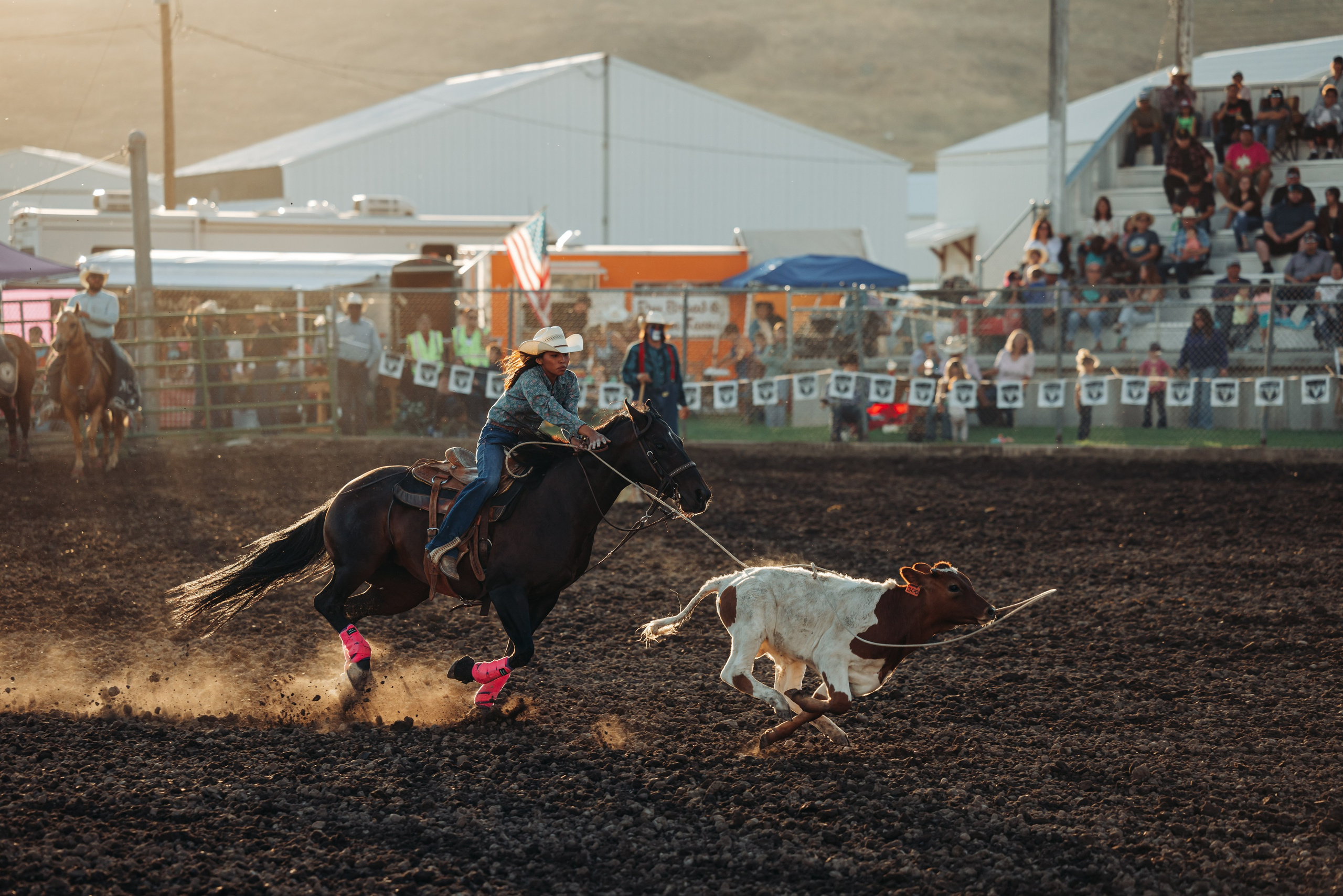 родео погоня с лассо. Цветокоррекция Victory photo