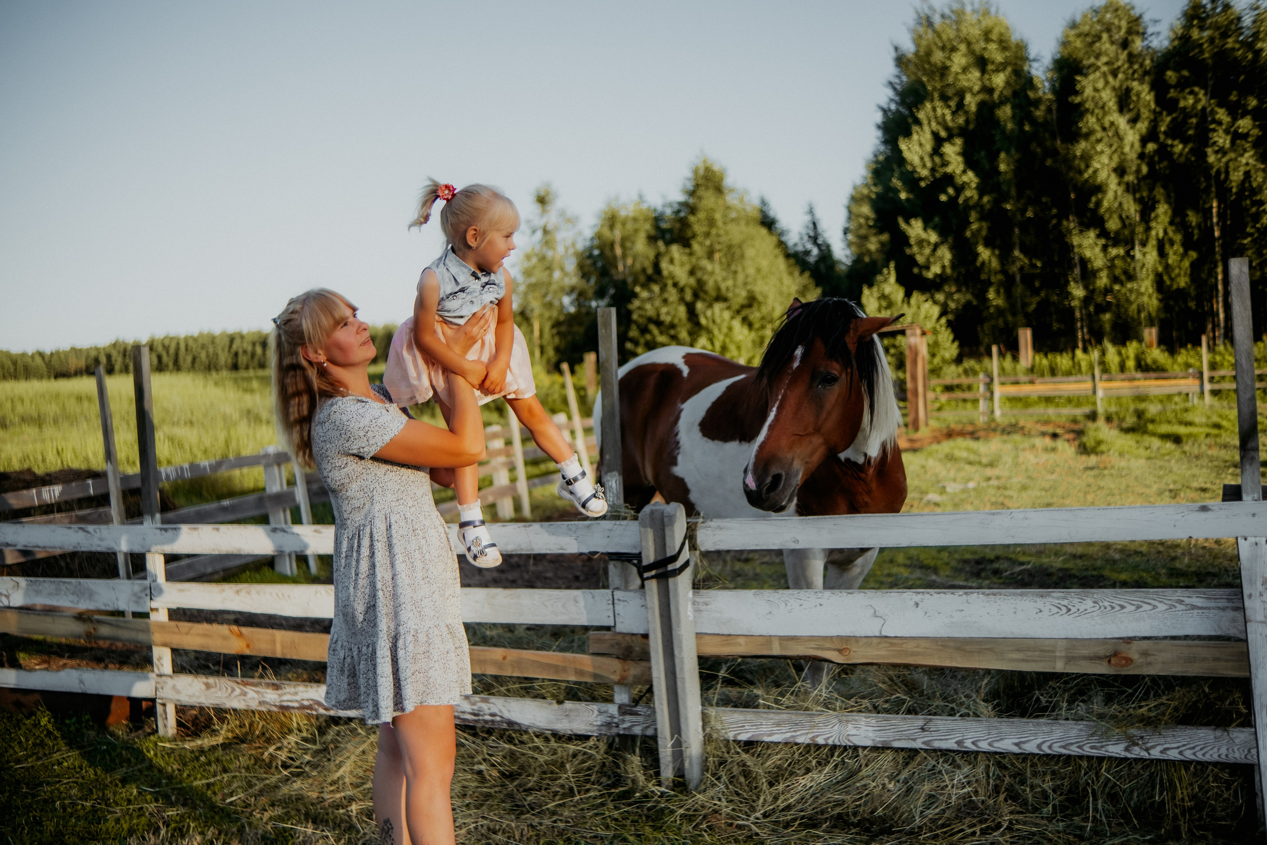 Семейная съемка в лованде. Nattie.ph