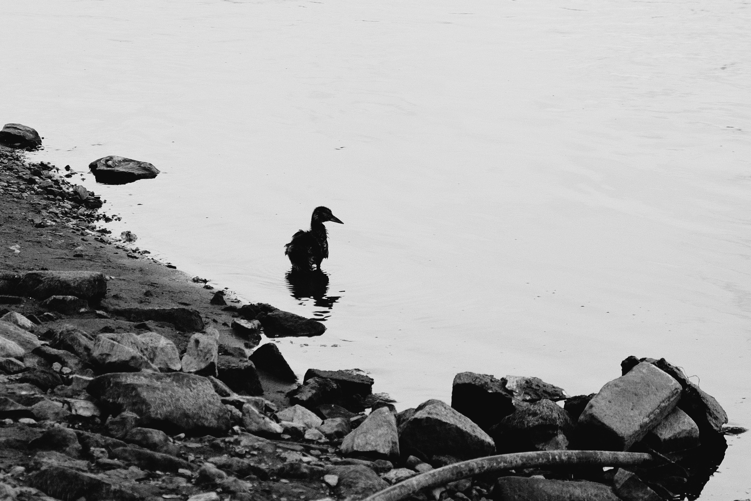 ЧБ. Фотограф-любитель из Кирова Андрей Погребняк