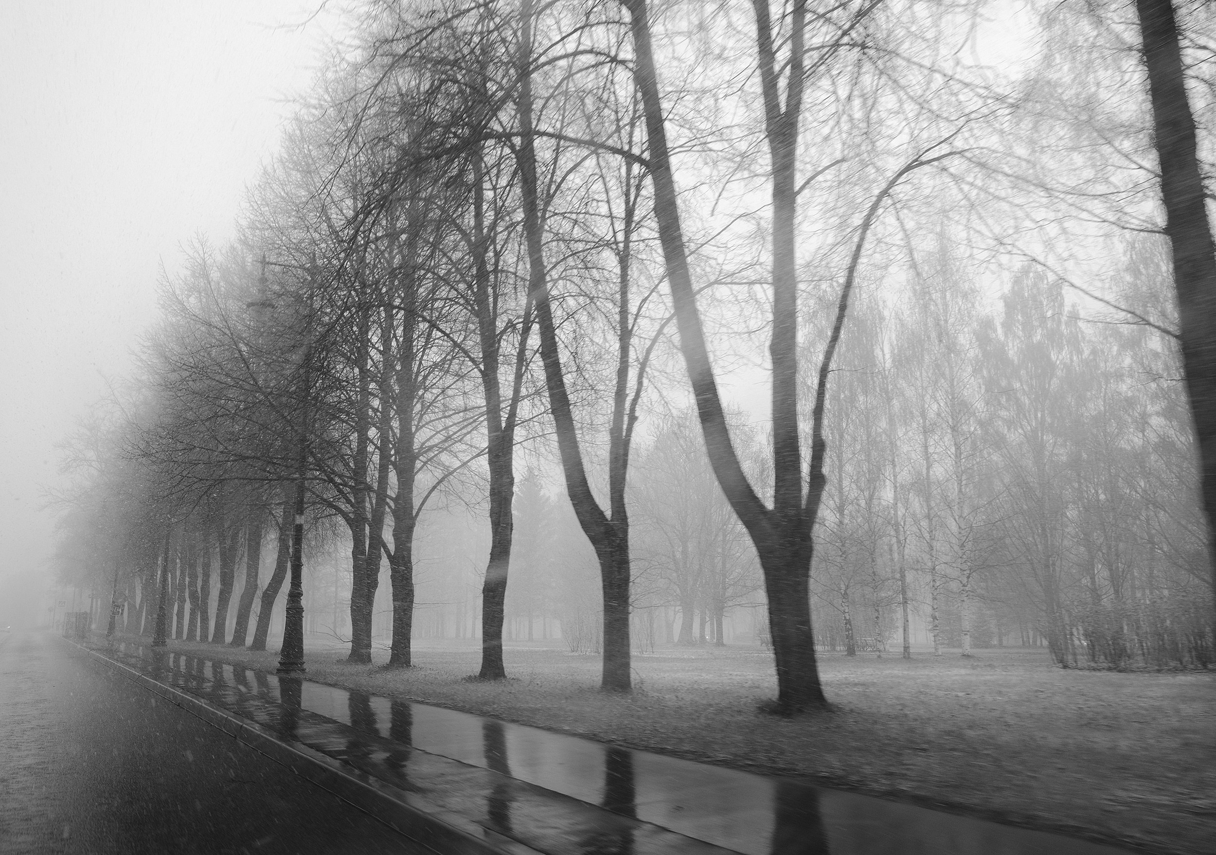 Черно-белая жизнь. Лана Петрова, фотограф
