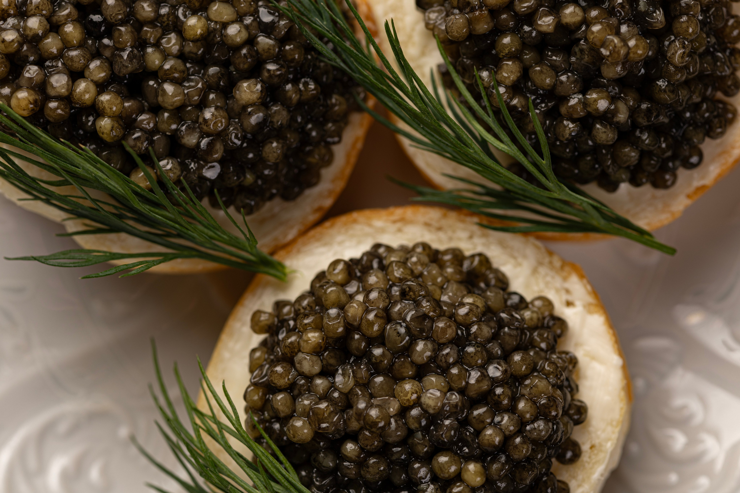 Caviar. Фотограф Александр Глебов
