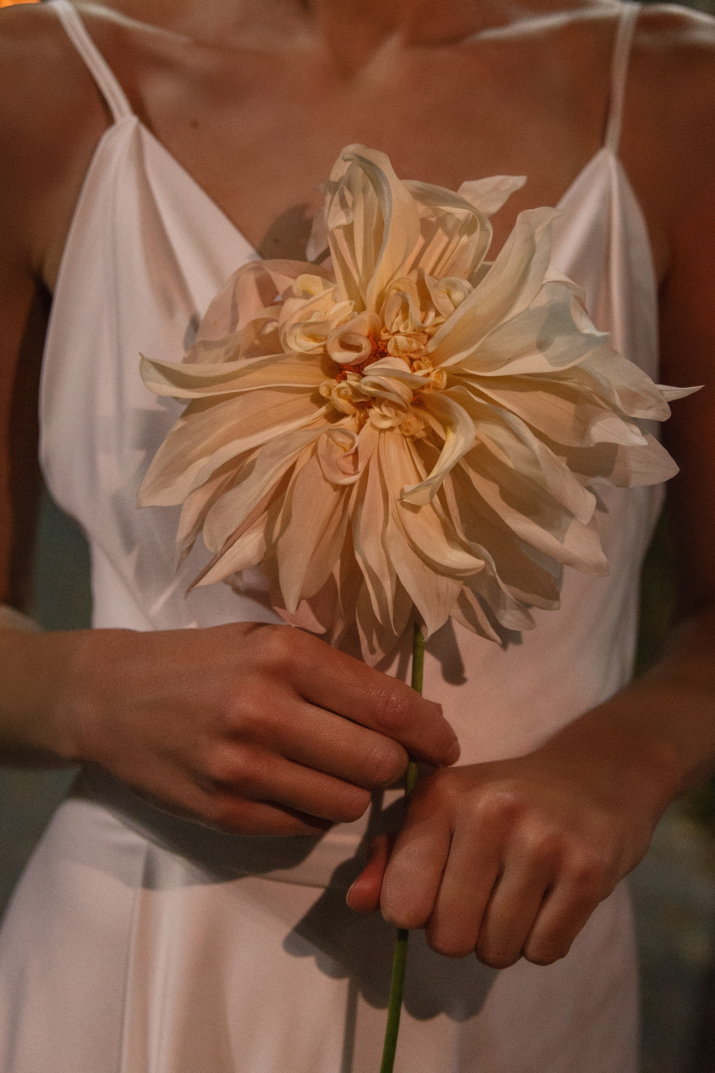 РУСЛАН | АННА. Мусс Алина фотограф