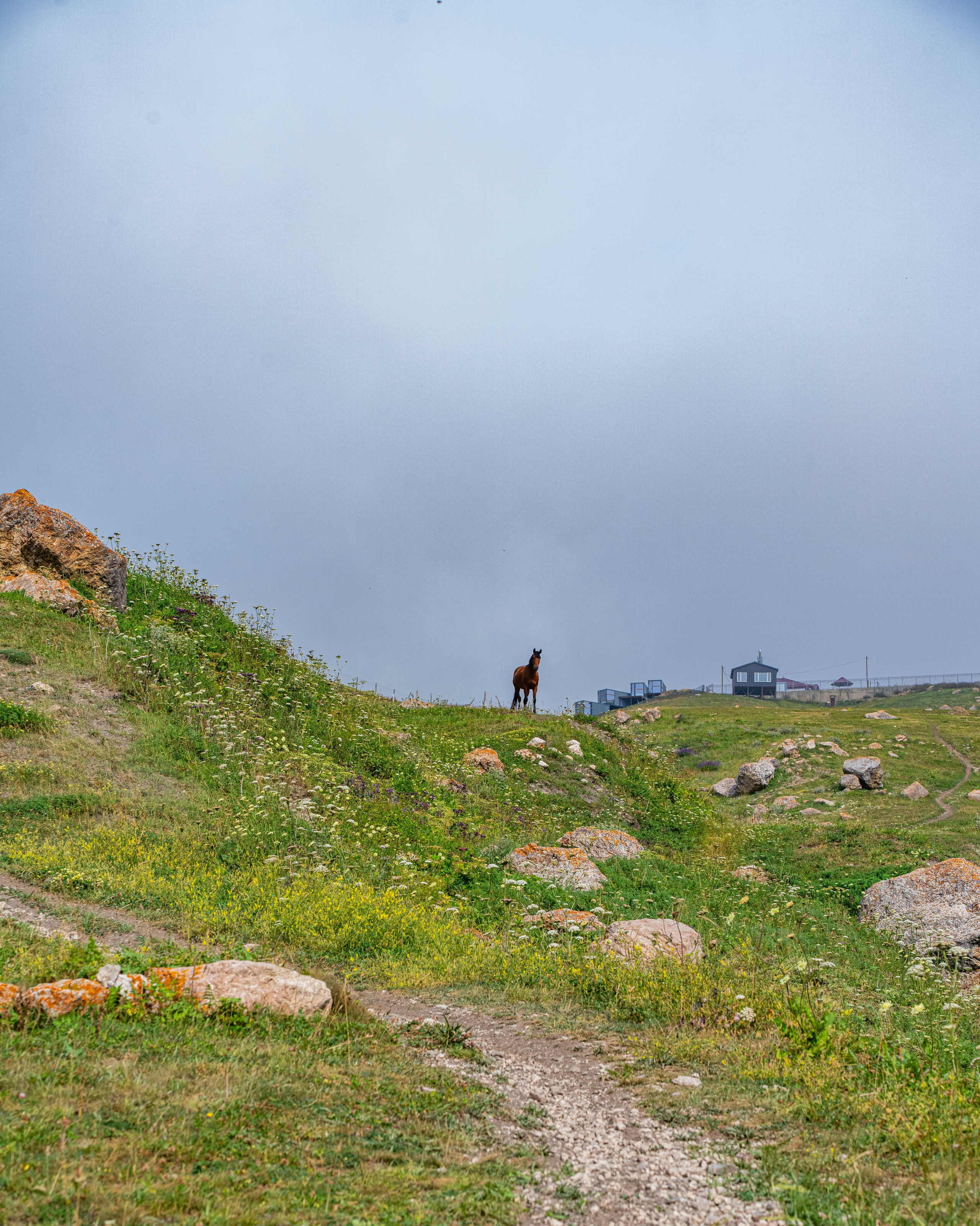 Дагестан. Фотограф в Москве. Шахабудин
