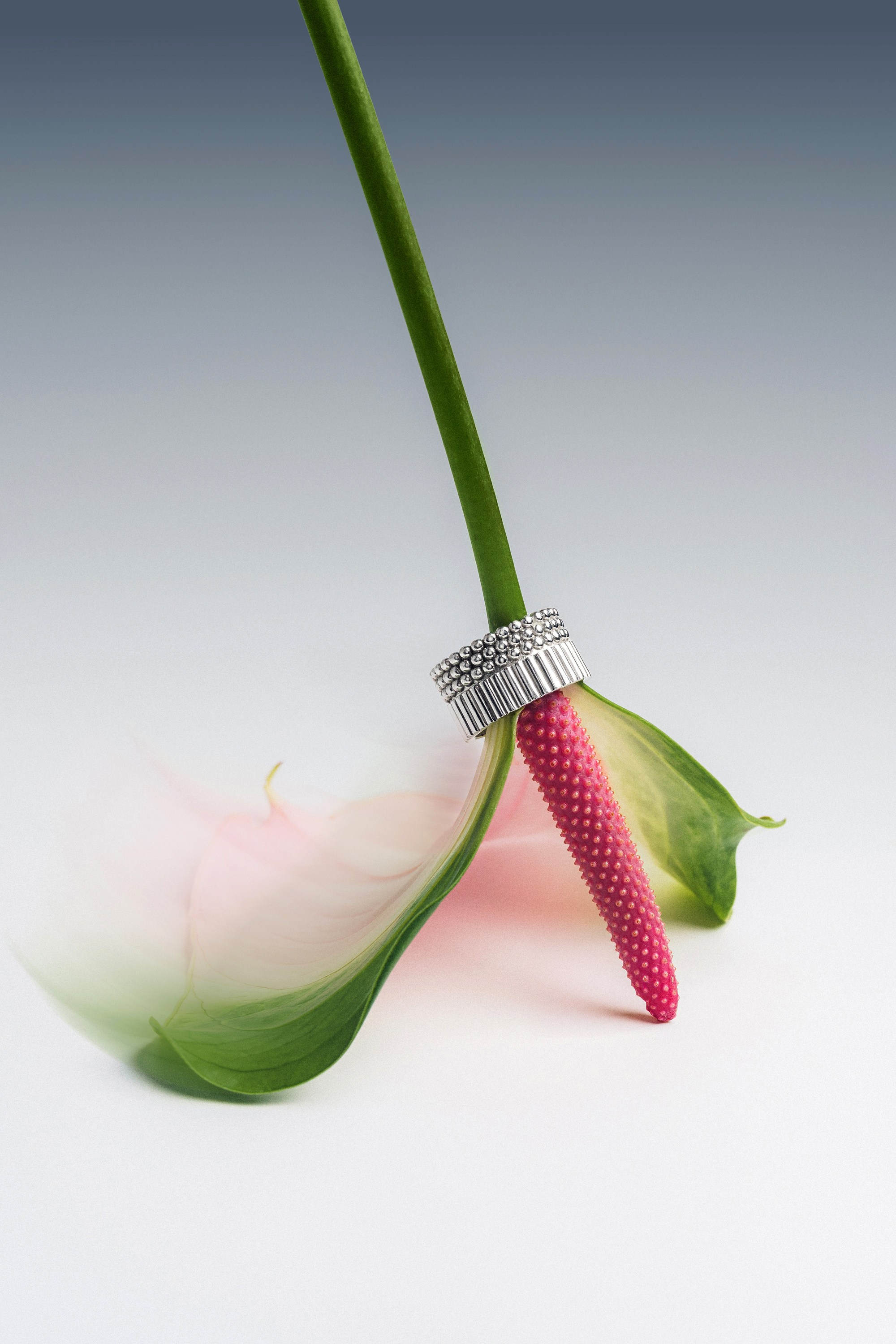 Фуд-фотограф, Предметный фотограф, AI креатор. Москва