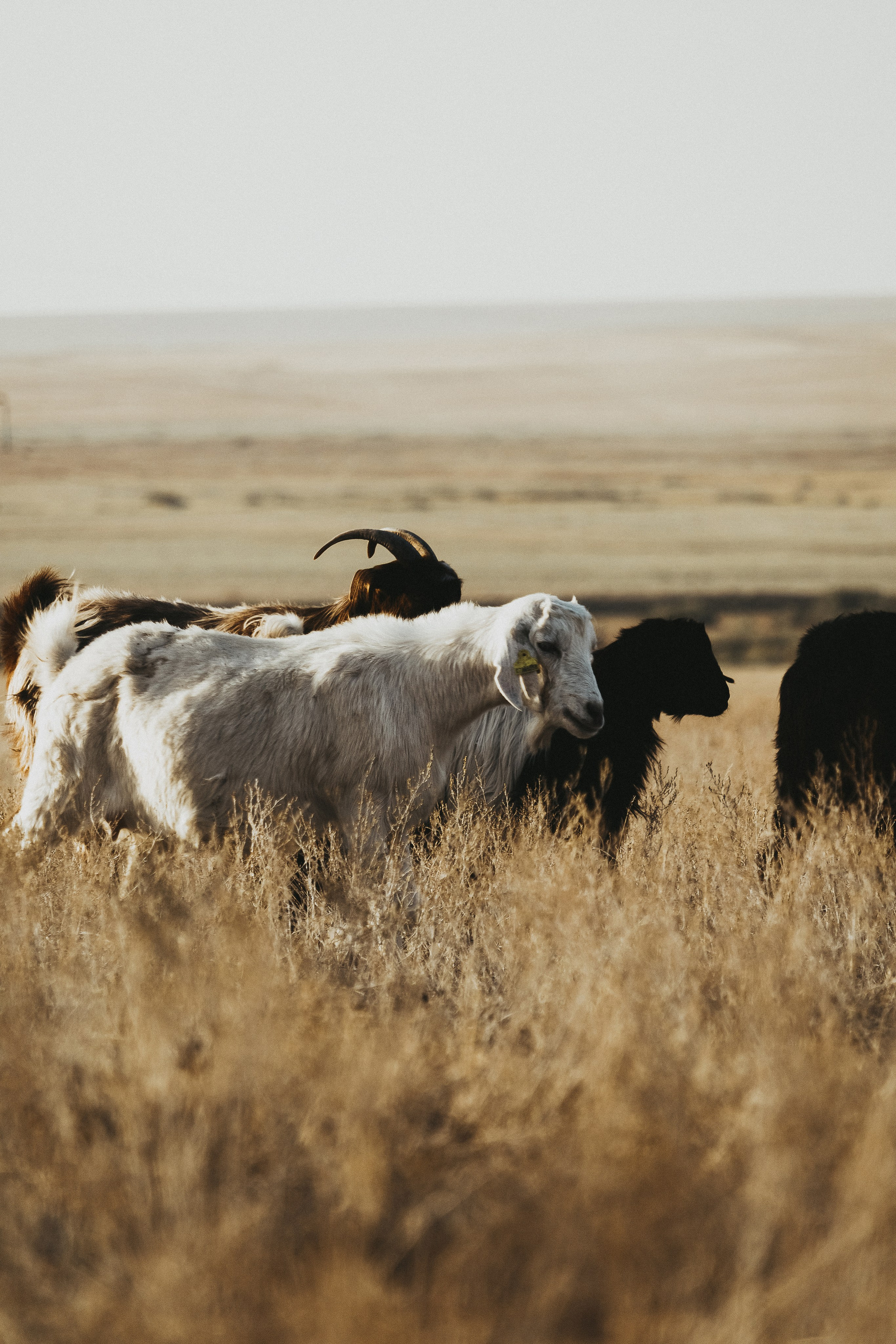 Жизнь. Фотограф Алматы | Весь мир — Никита Колодин