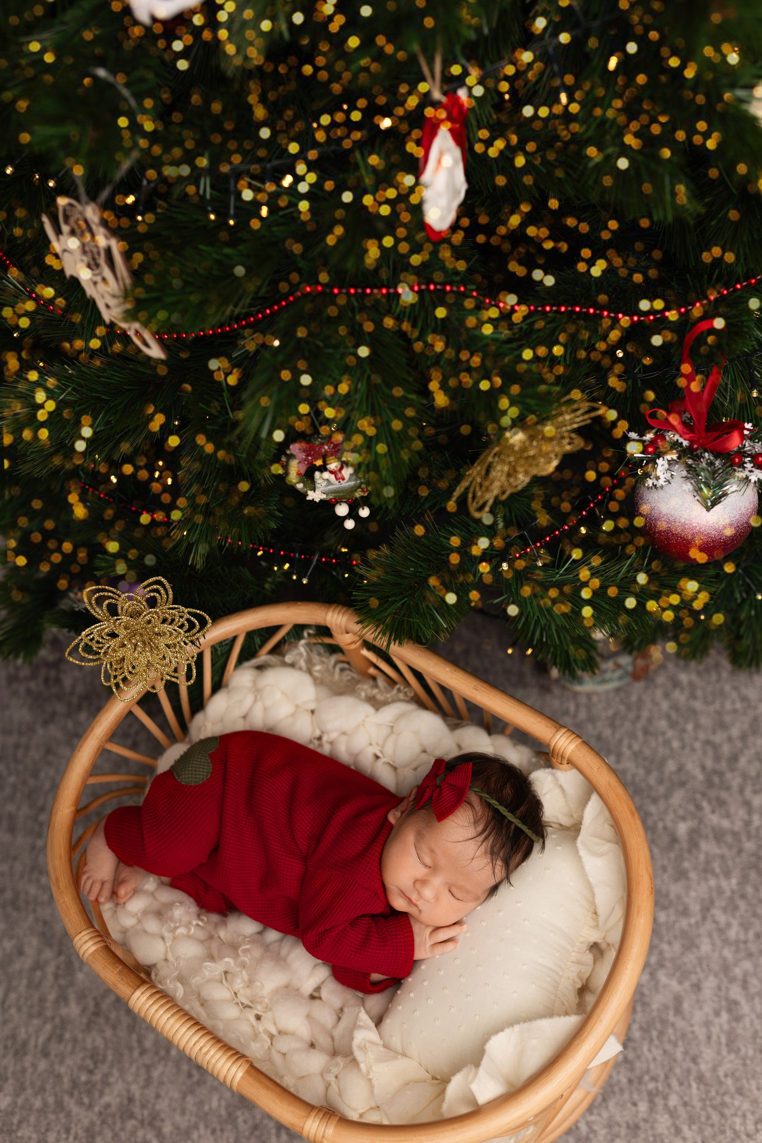 Екатерина. Лилия Алтухова — фотограф новорожденных в Москве и области