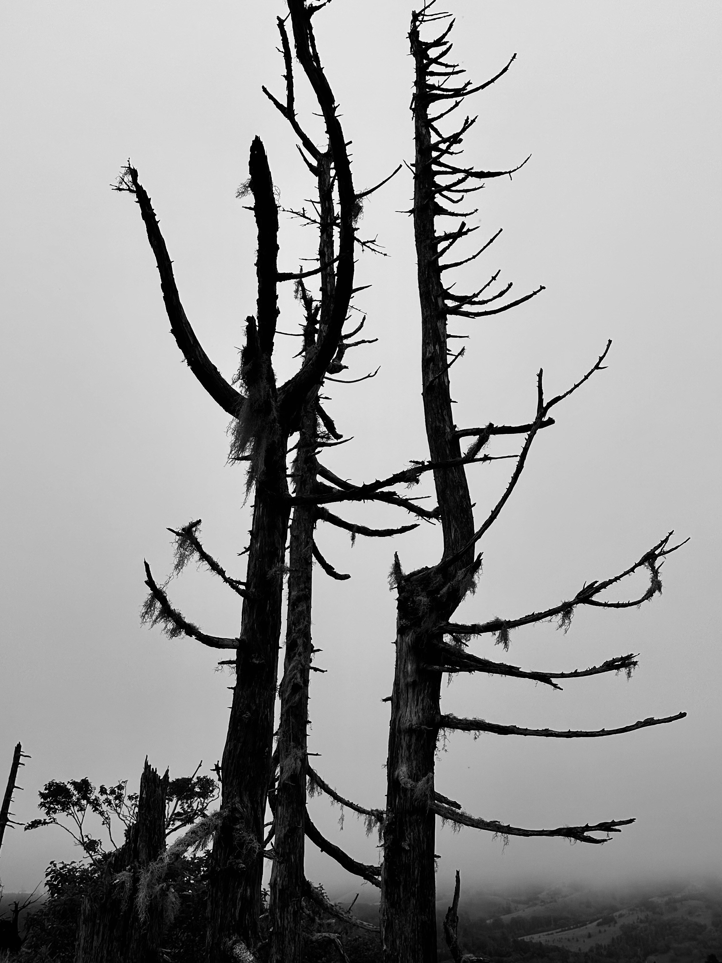 EXHIBITION. Репортажный и интерьерный фотограф, фотохудожник