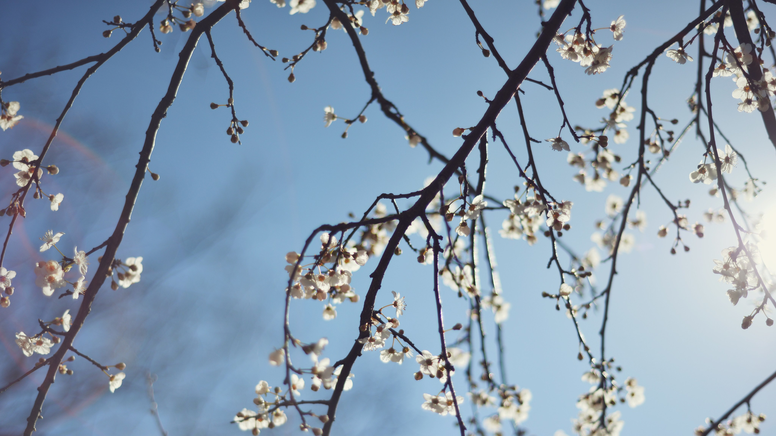 Есть. Психолог • Миронова Елена