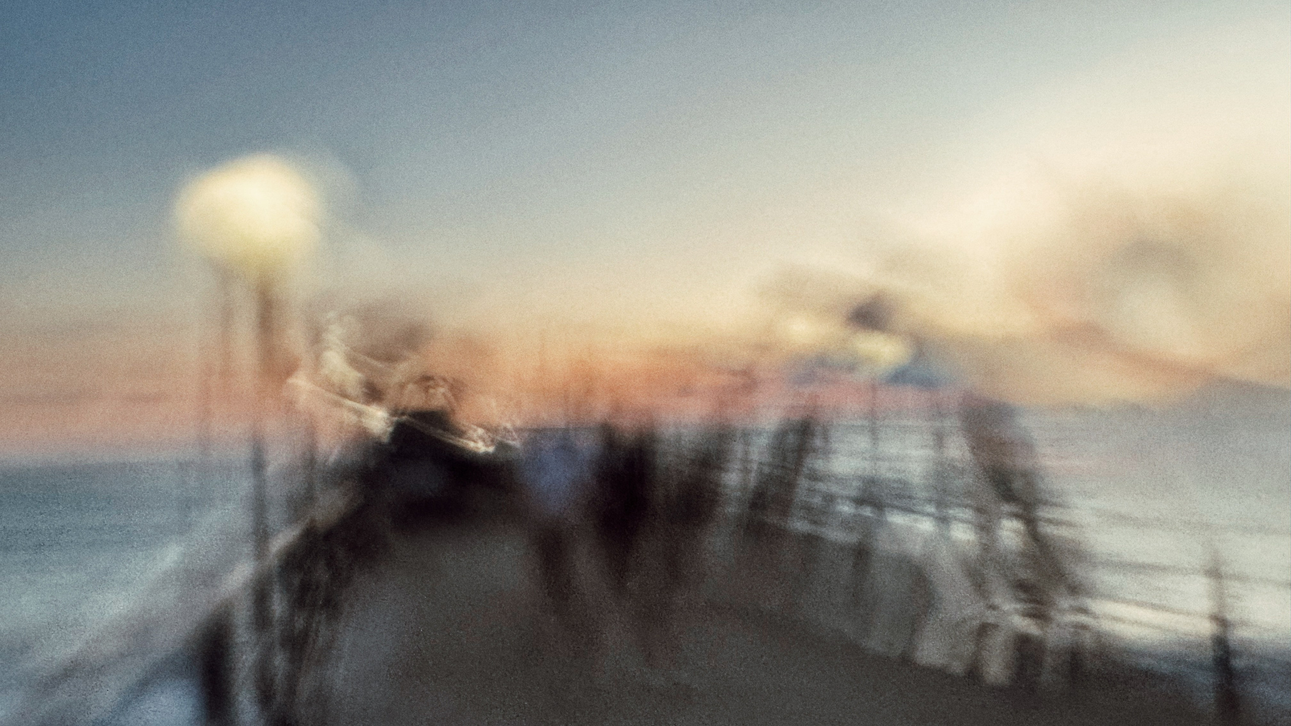 Портрет. Фотограф • Елена Миронова