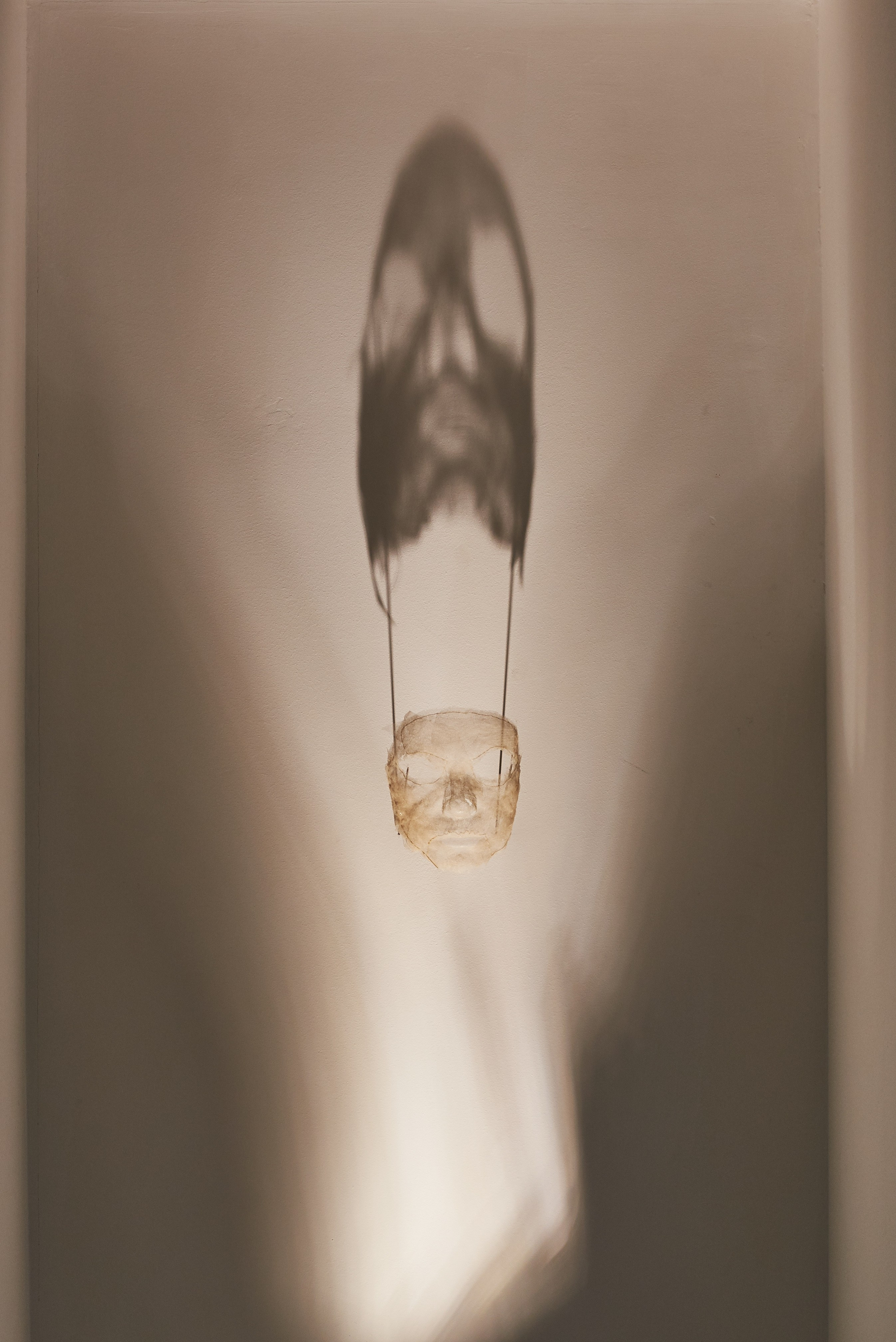 THE ALIENATED BODY. Ilmira Bolotyan — Interdisciplinary Artist and Curator