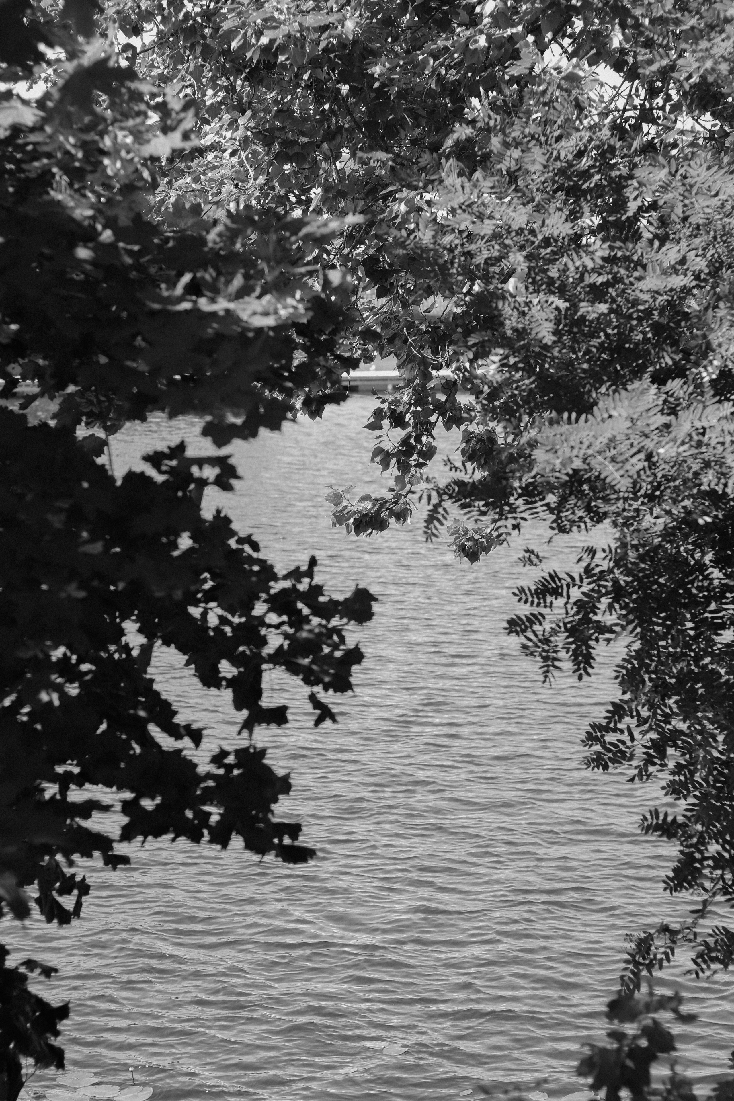 Contour. Фотограф и исследователь фотографии из Санкт-Петербурга Елизавета Веприцкая