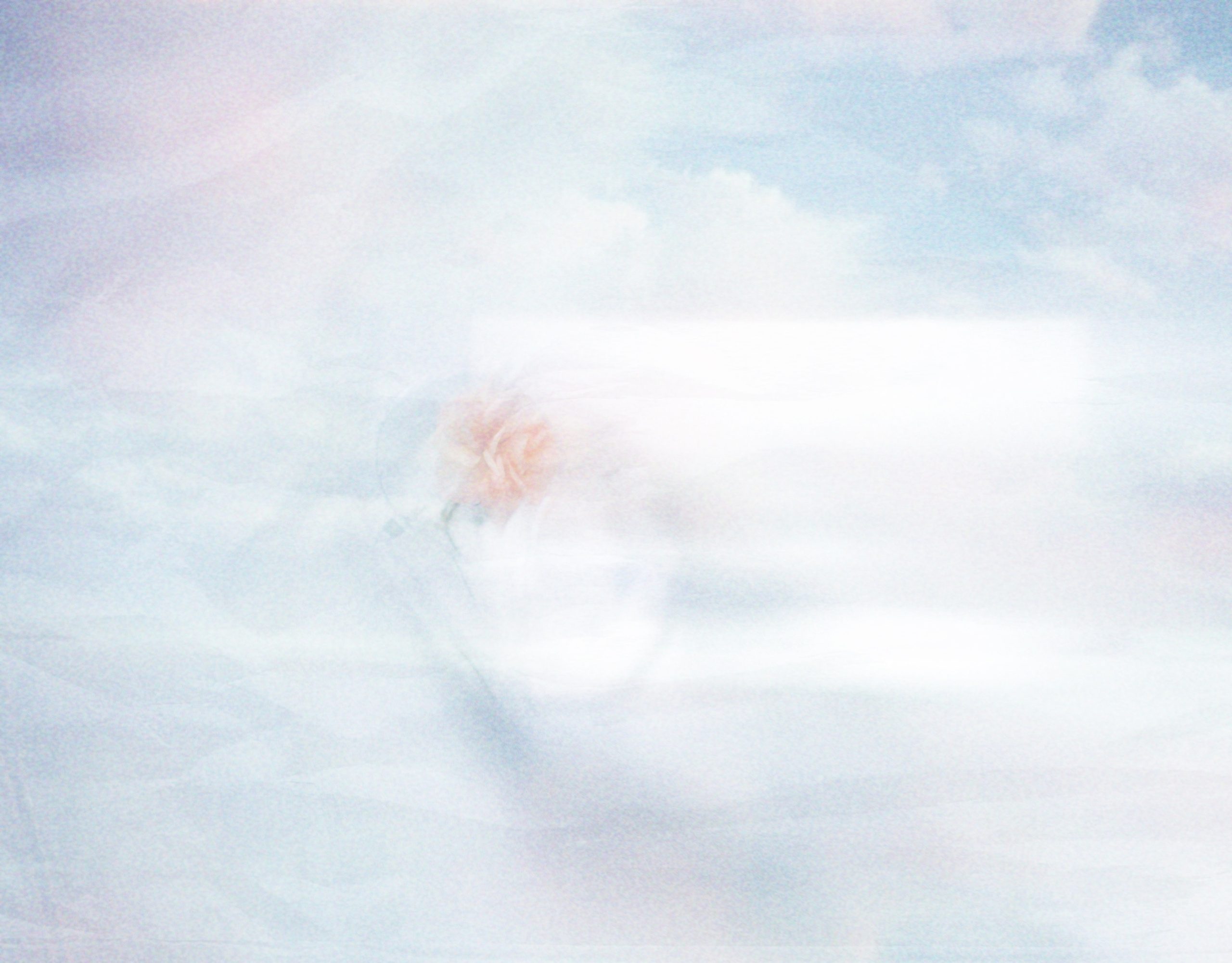 сюрреализм абстракция цветы на фоне облаков