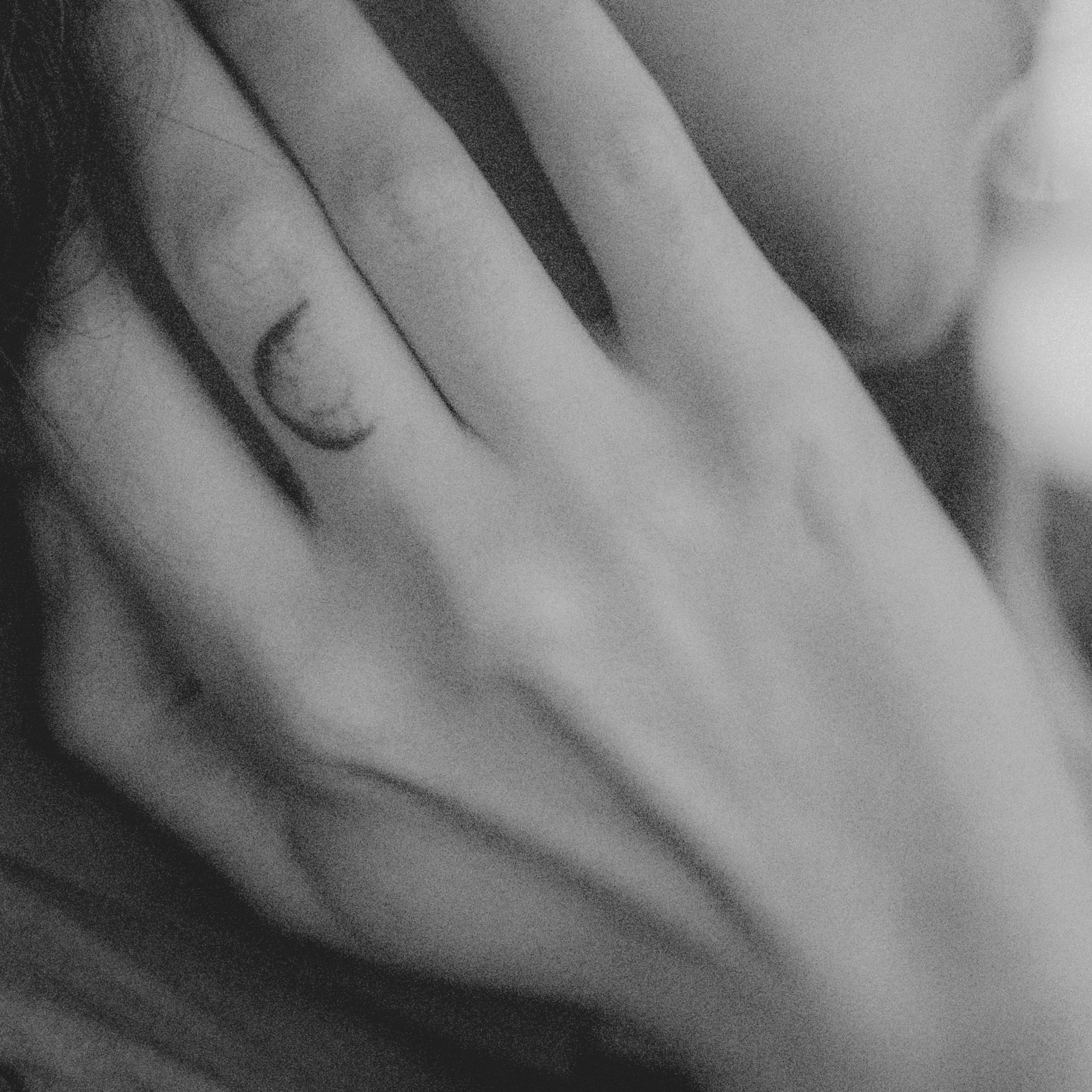 Personality. VISUAL ARTIST · KRONGAUZ ANASTASIA