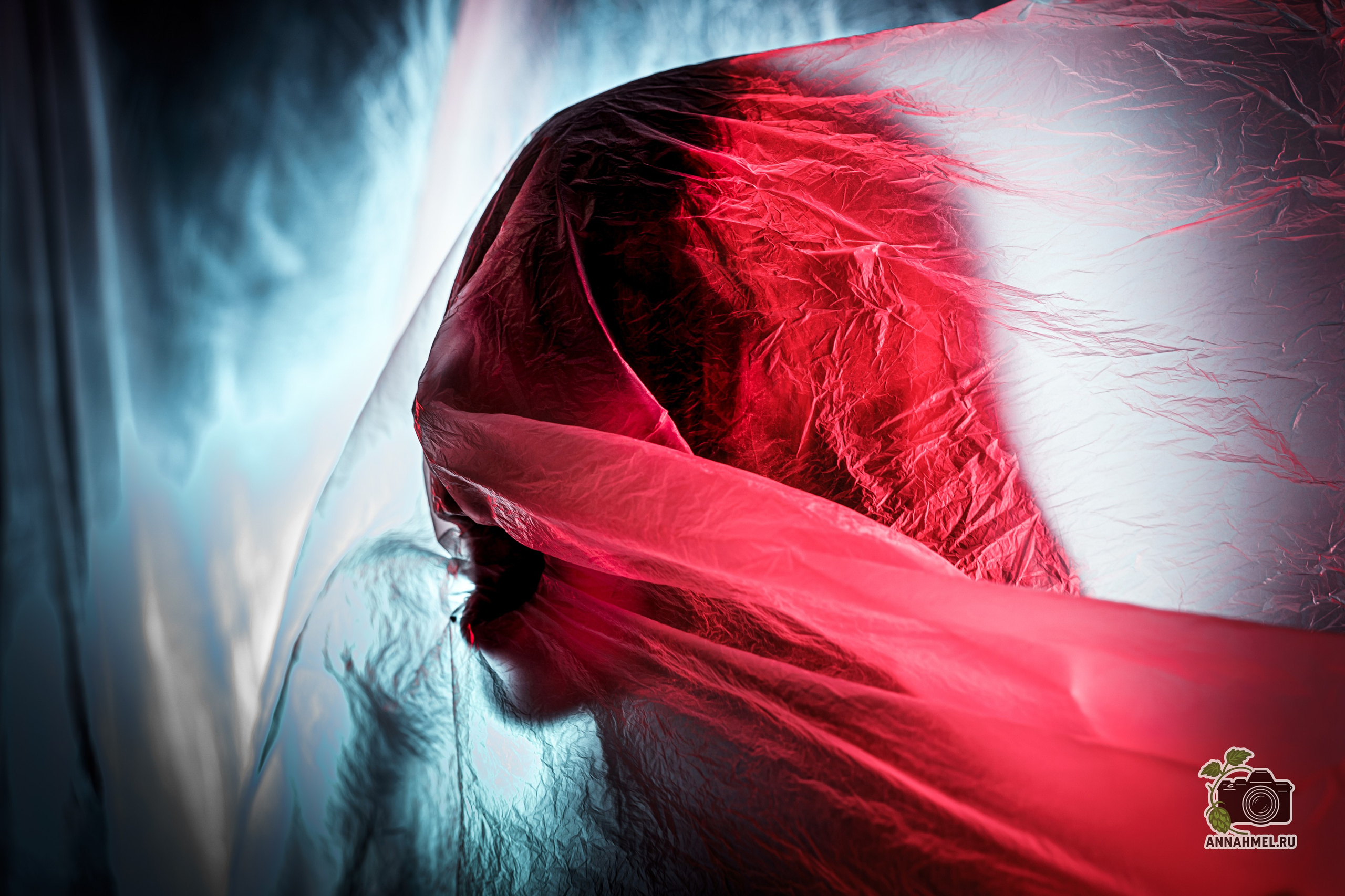 Художественная съёмка. Фотограф Анна Хмель