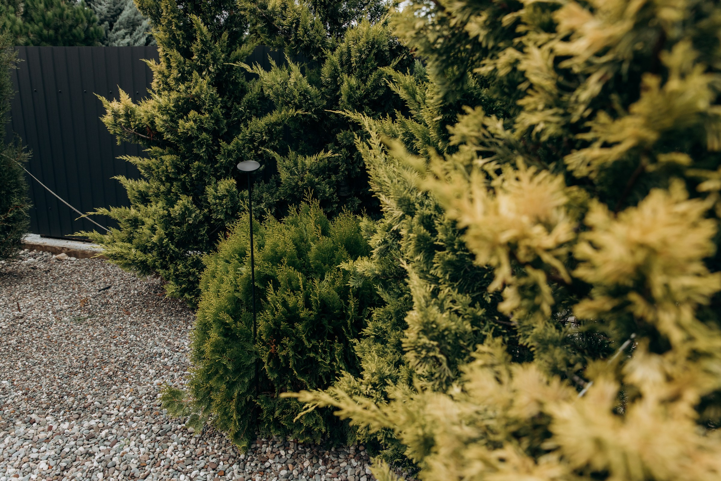 Съёмка для компании INTEQ HAUS из Москвы. Фотограф в Крыму — Федор зайцев. Свадебная, семейная и портретная съёмка. Фотографии для контента, для бизнеса. Корпоративная съёмка