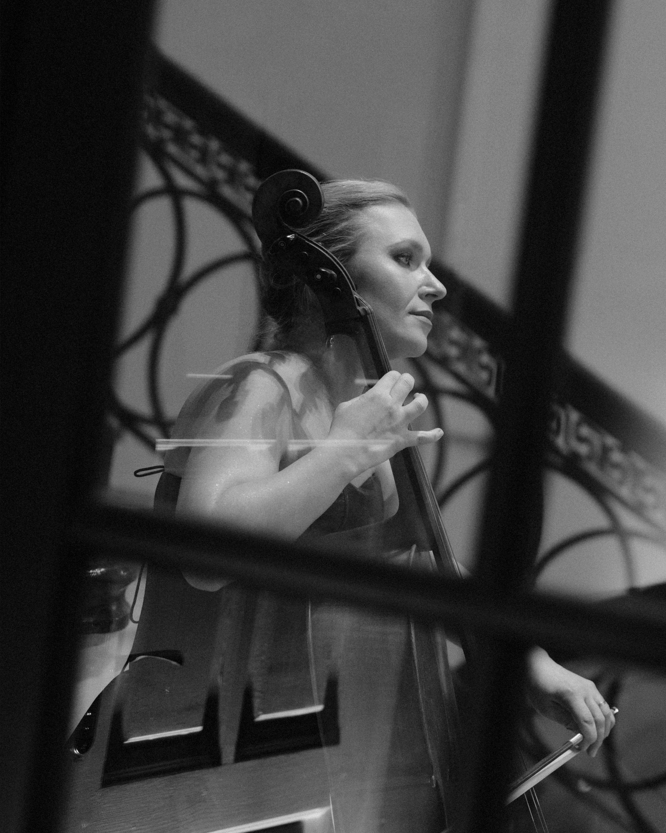 LЁD x MENDELSON x RARA