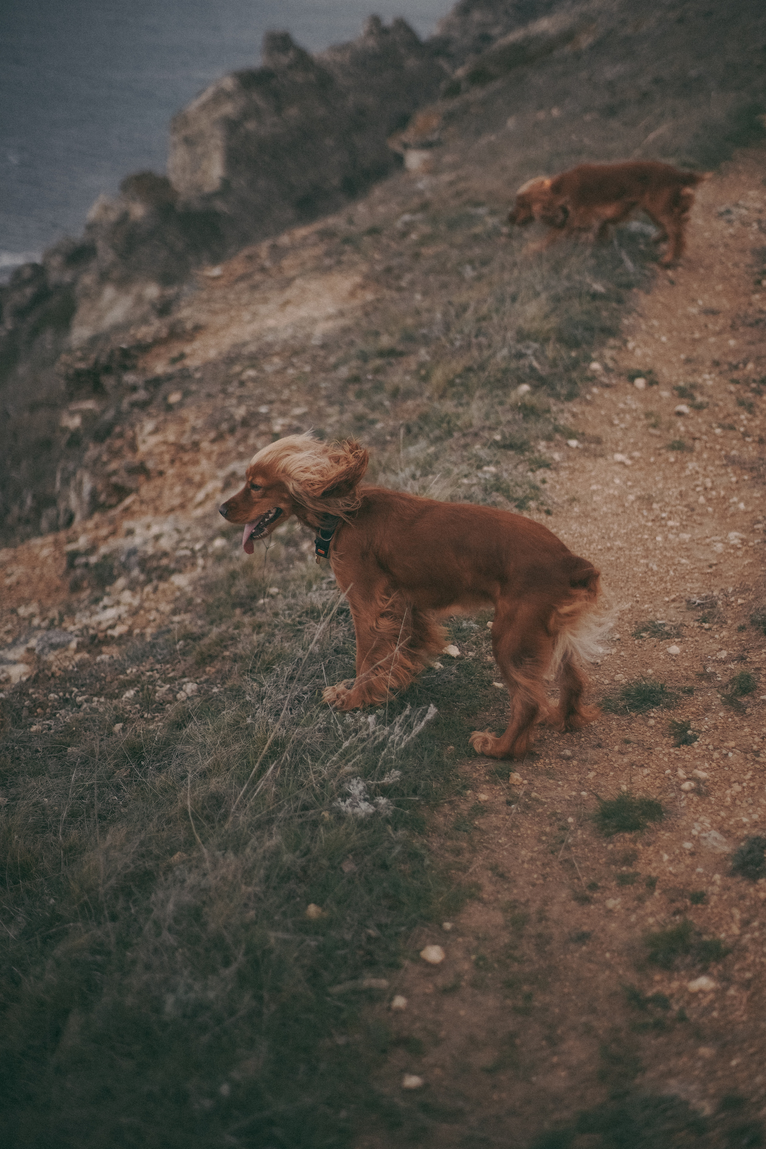 Джангуль. На краю света. Фотограф Дарья Филатова