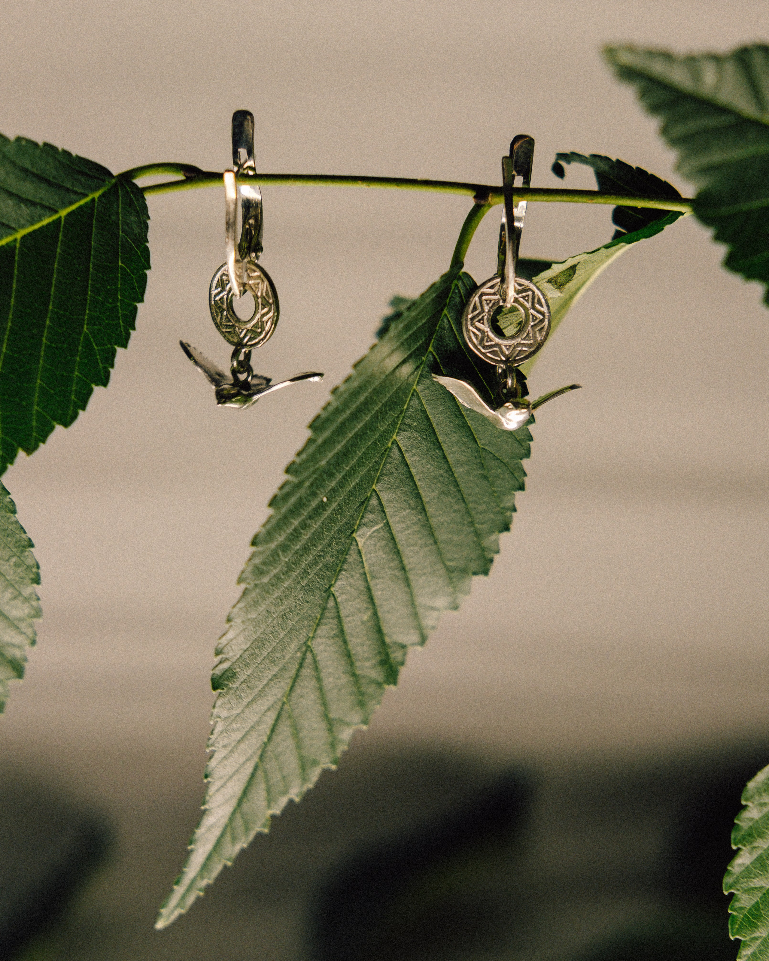 Бренды. Фотограф из Хакасии Элина Кичеева