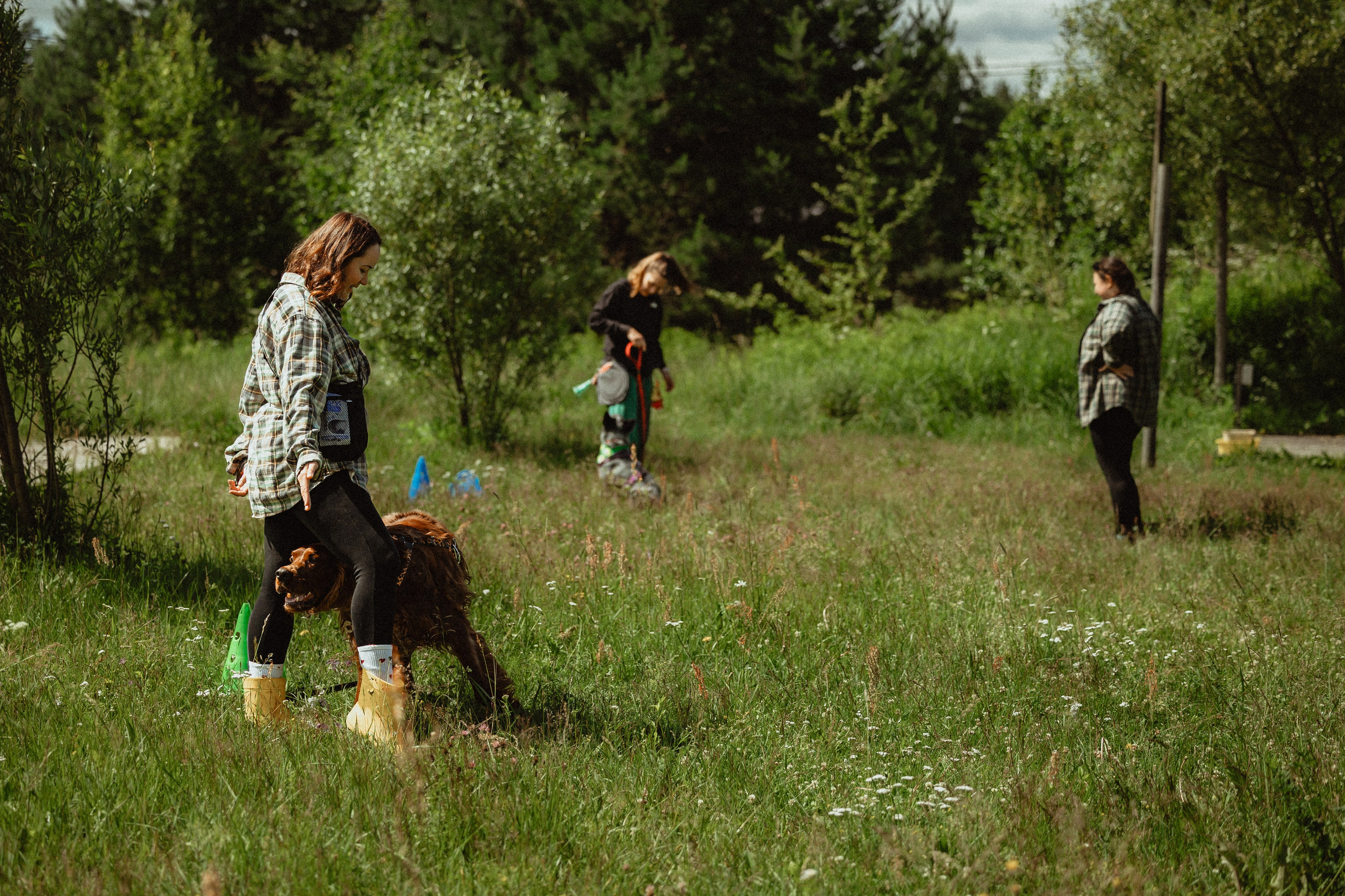 Выездной дог-тренинг от школы «Шерсть имею»