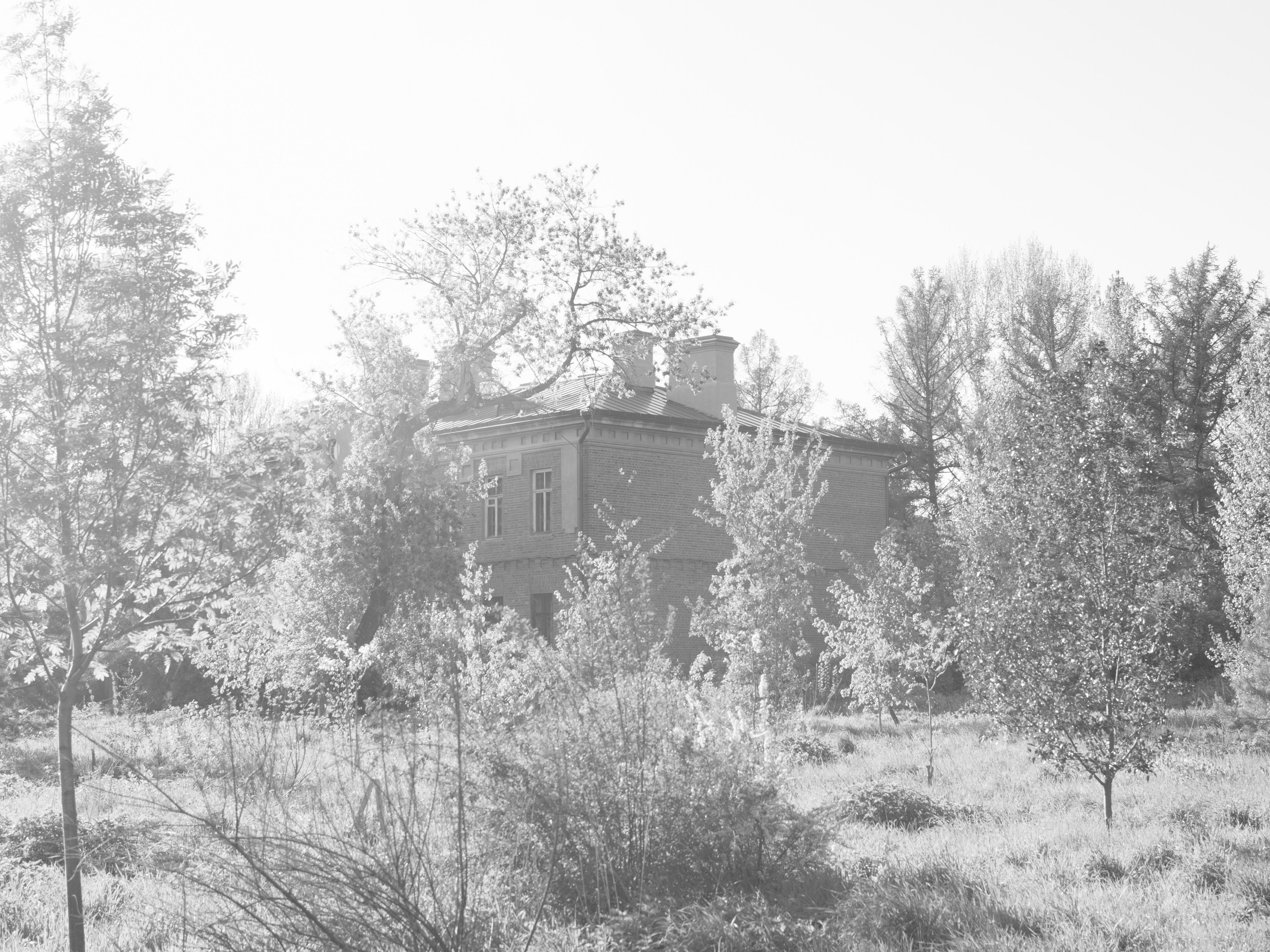 Фотогпрогулка