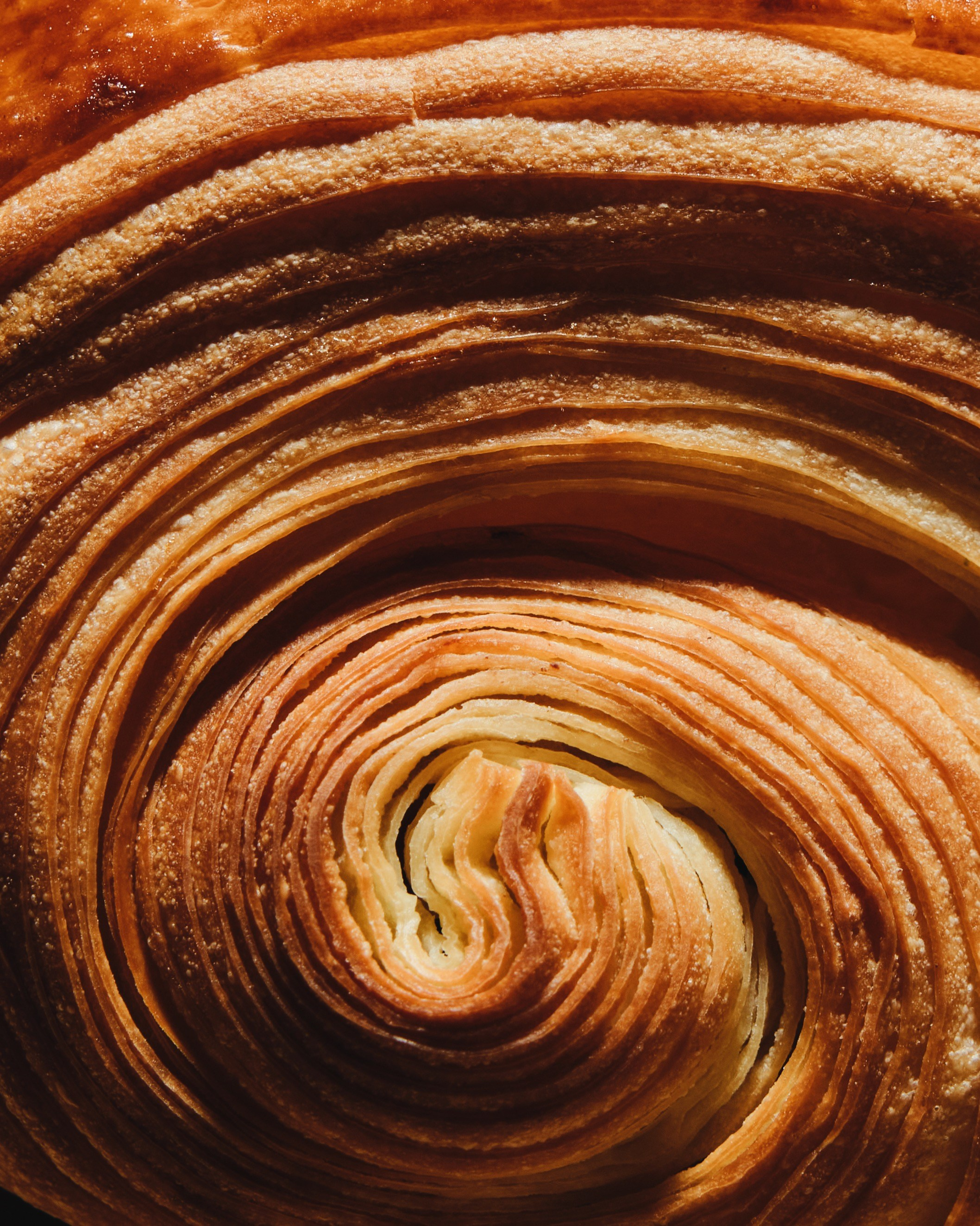 Born 2024. Фотограф Москва | Коммерческие и индивидуальные съемки