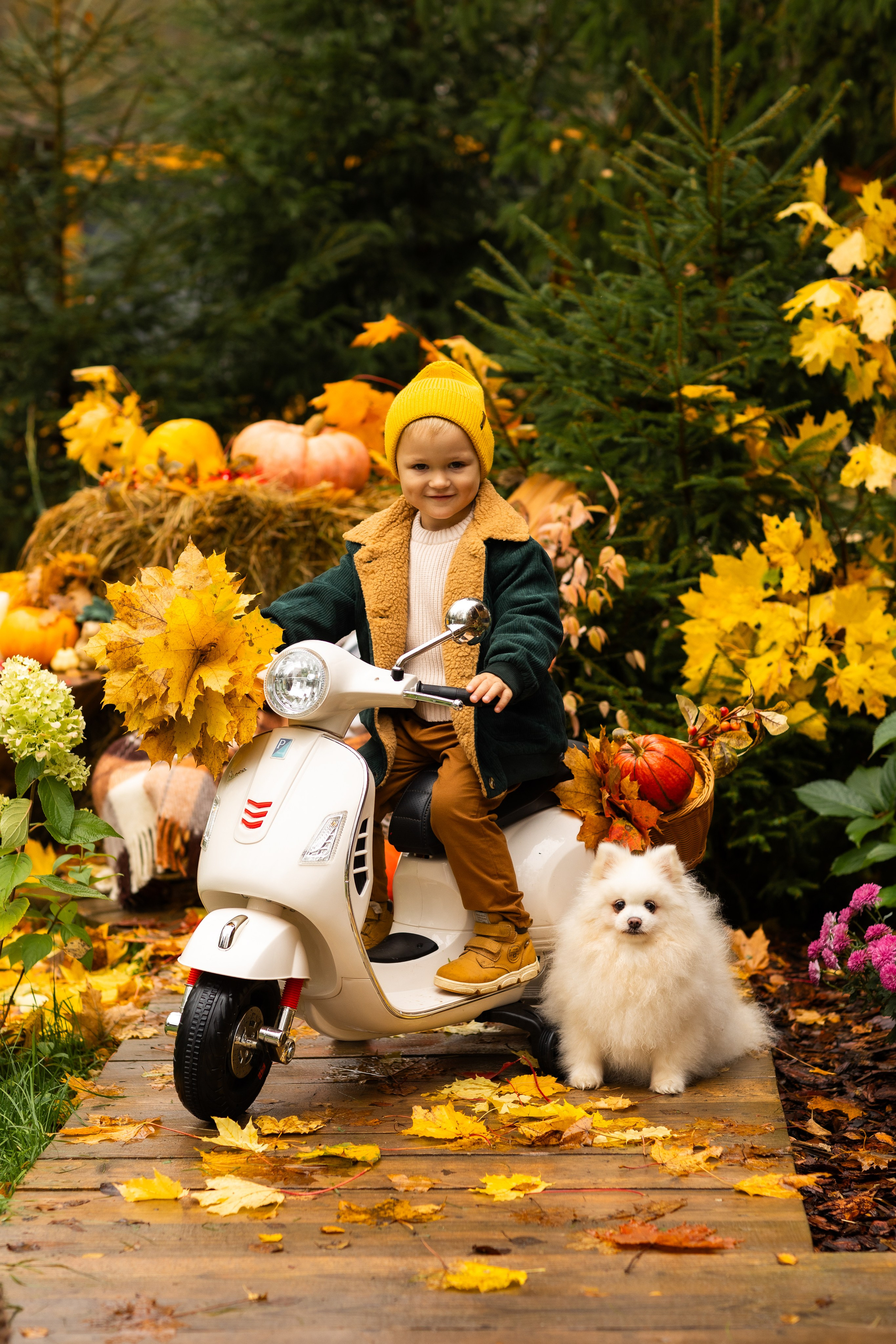 Осень. Профессиональный ретушер Москва и весь мир — Елена Тимченко