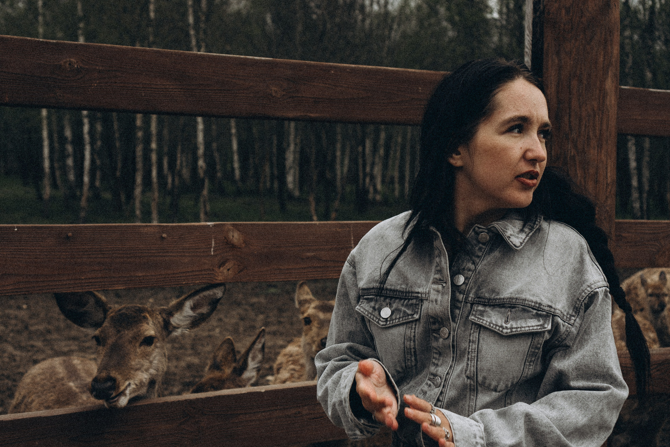 ОЛЕНЬЯ ФЕРМА В ТВЕРИ. Профессиональный фотограф, Санкт-Петербург — Виктория Богомолова
