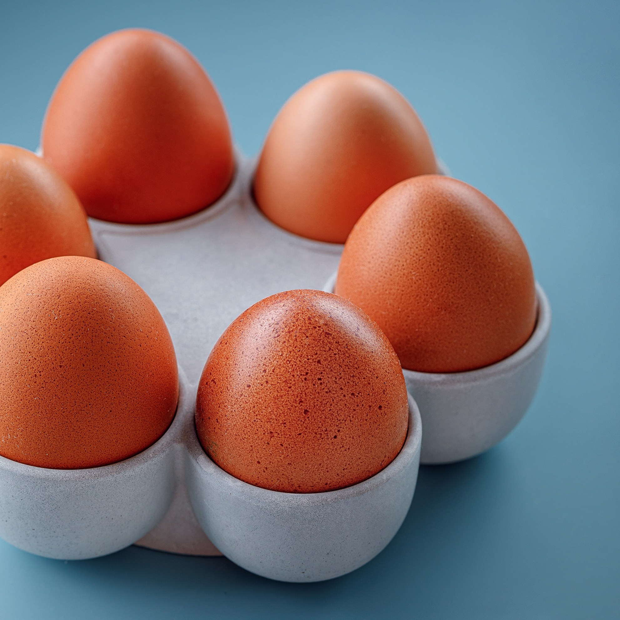 «Волжанин»