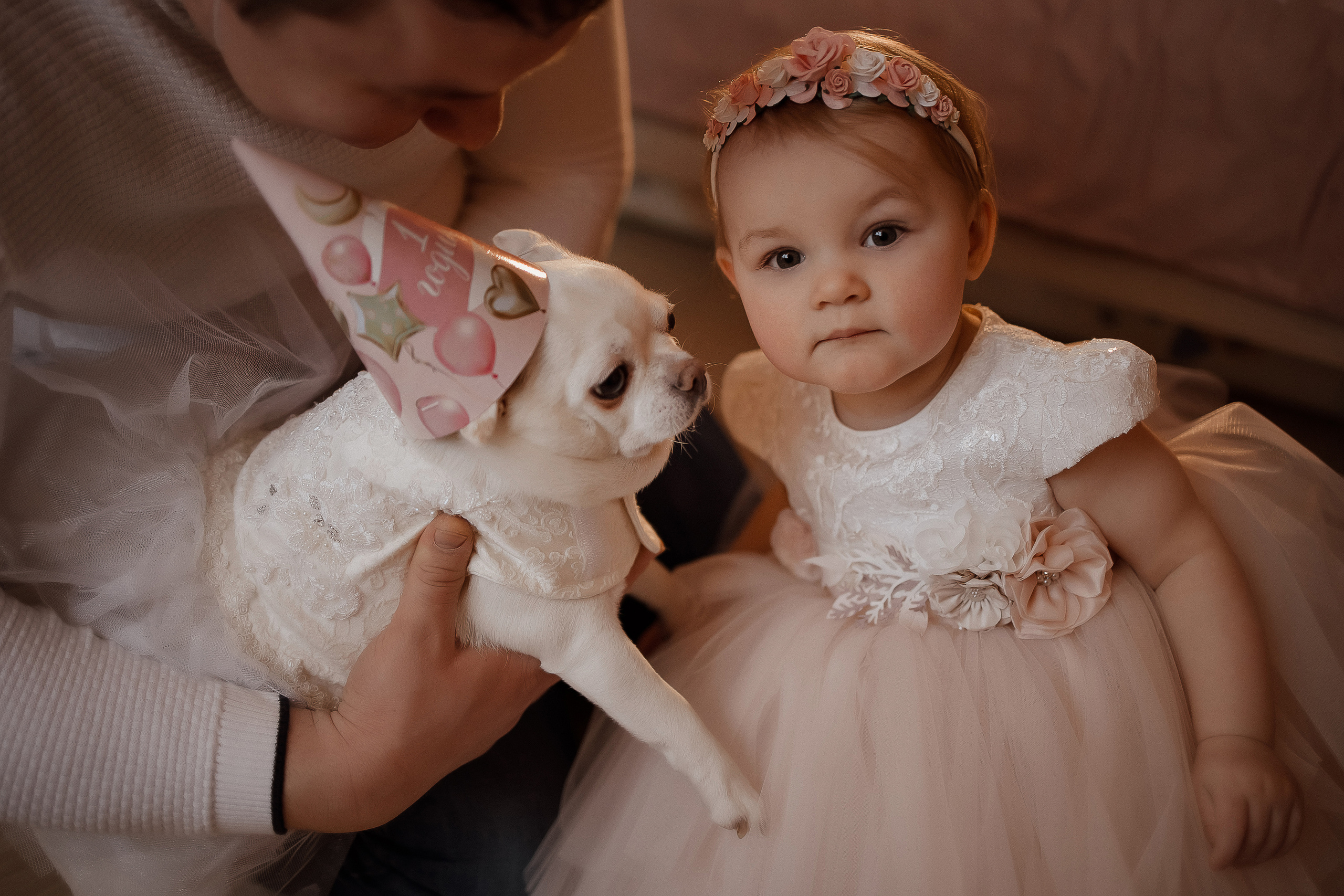 Семейная съемка. Свадебный фотограф