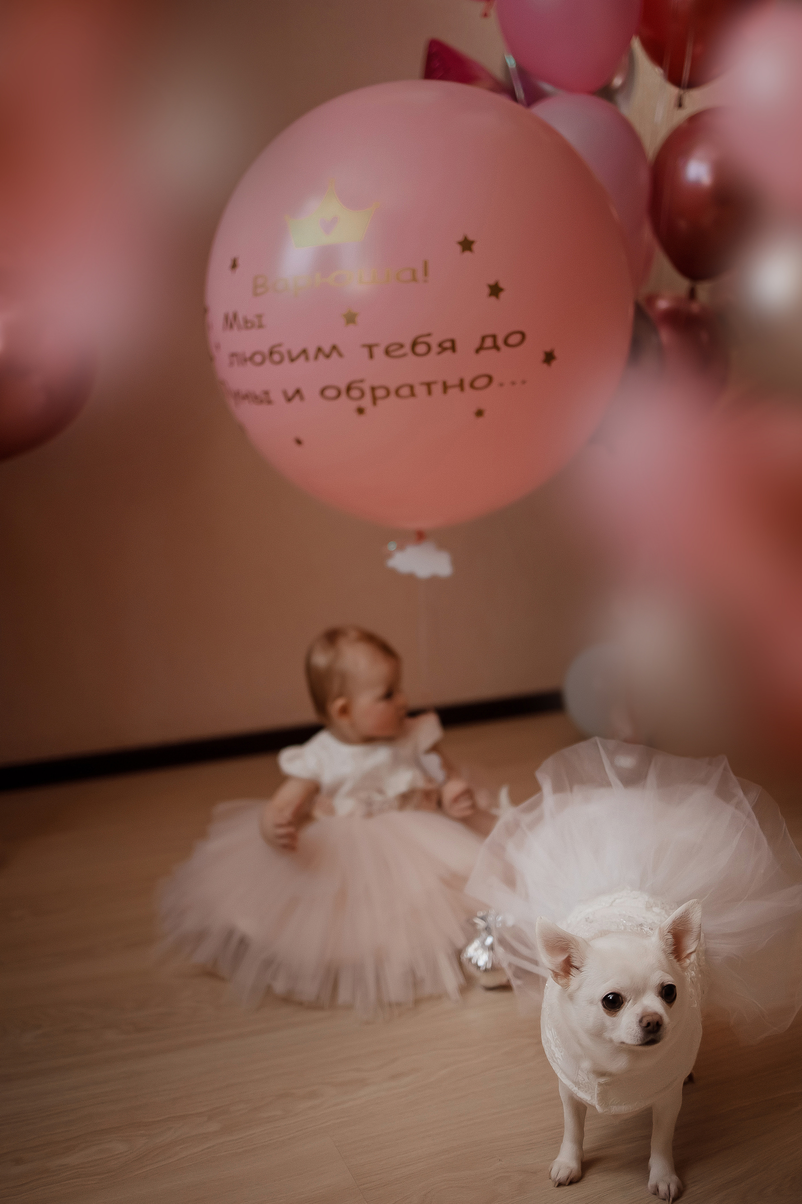 Семейная съемка. Свадебный фотограф