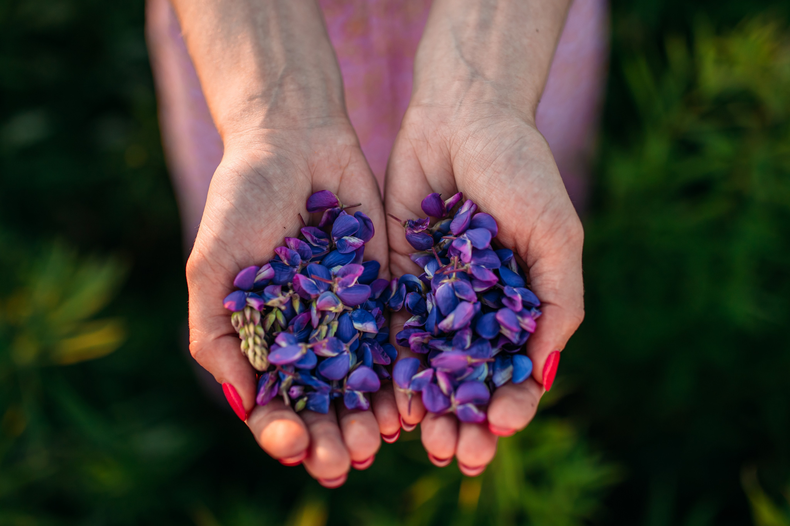 Летние портреты. Семейный и детский фотограф в Нижнем Новгороде Наумова Лидия