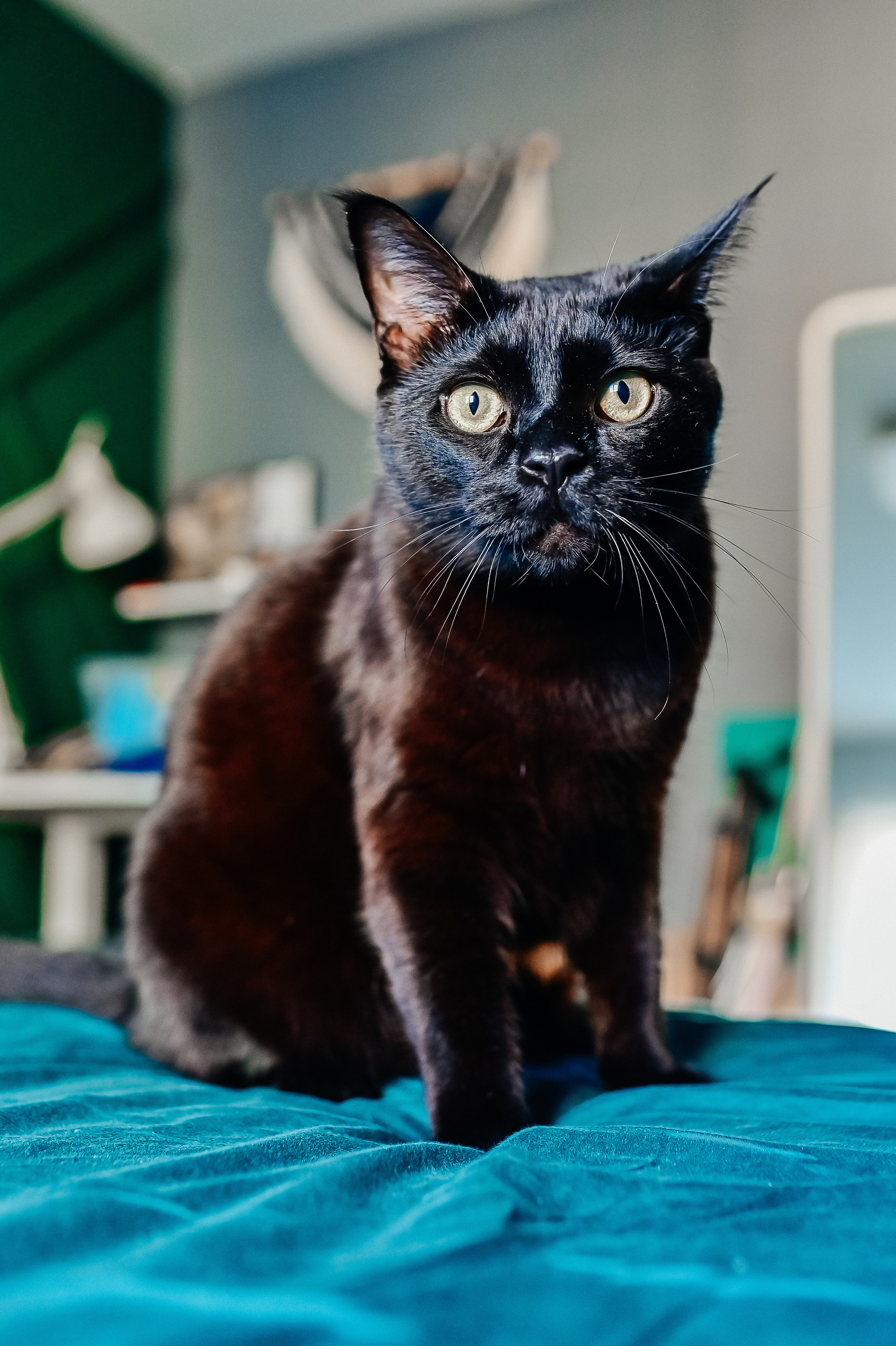 Марина и Роман. Семейный и детский фотограф в Туле