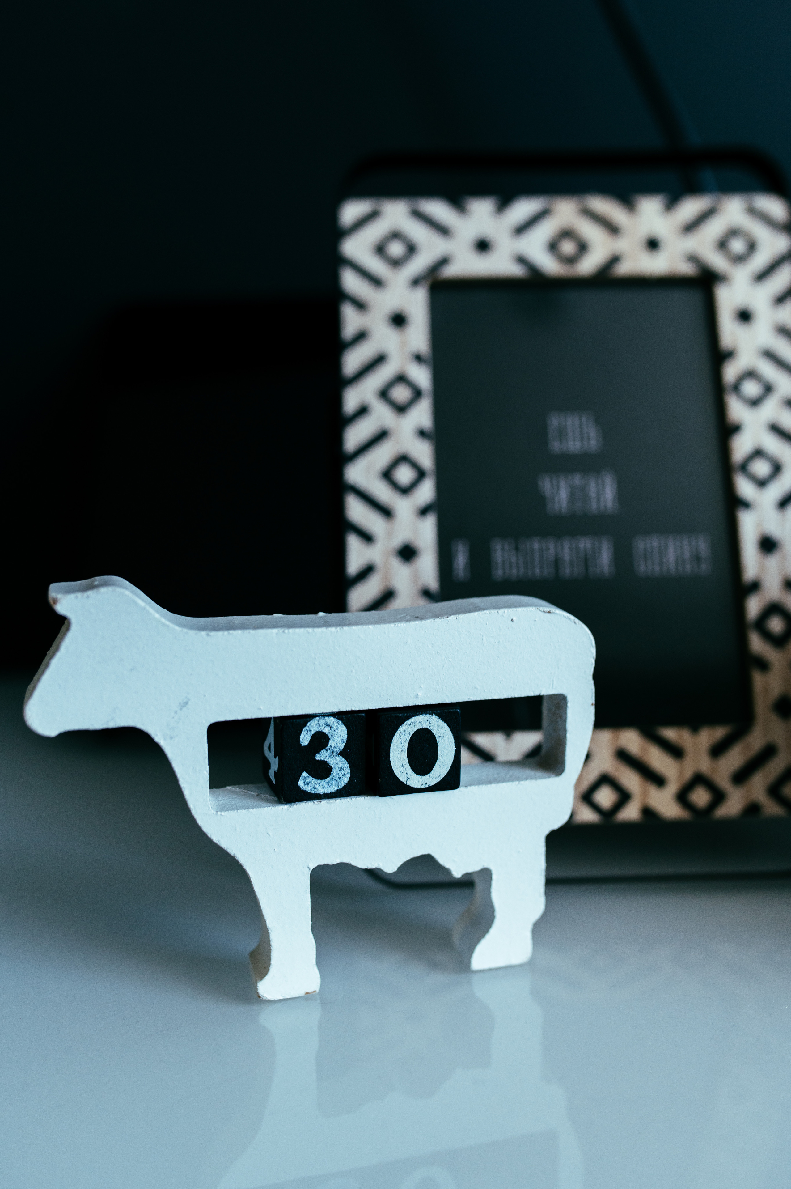 Марина и Роман. Семейный и детский фотограф в Туле