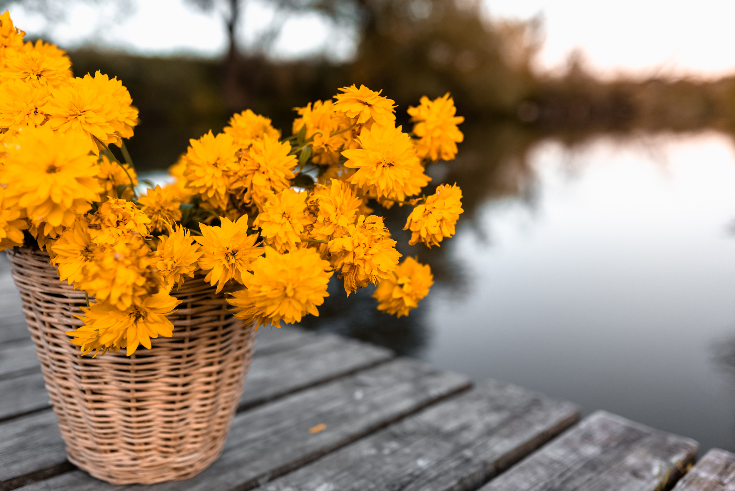 Наталья. Семейный и детский фотограф в Туле
