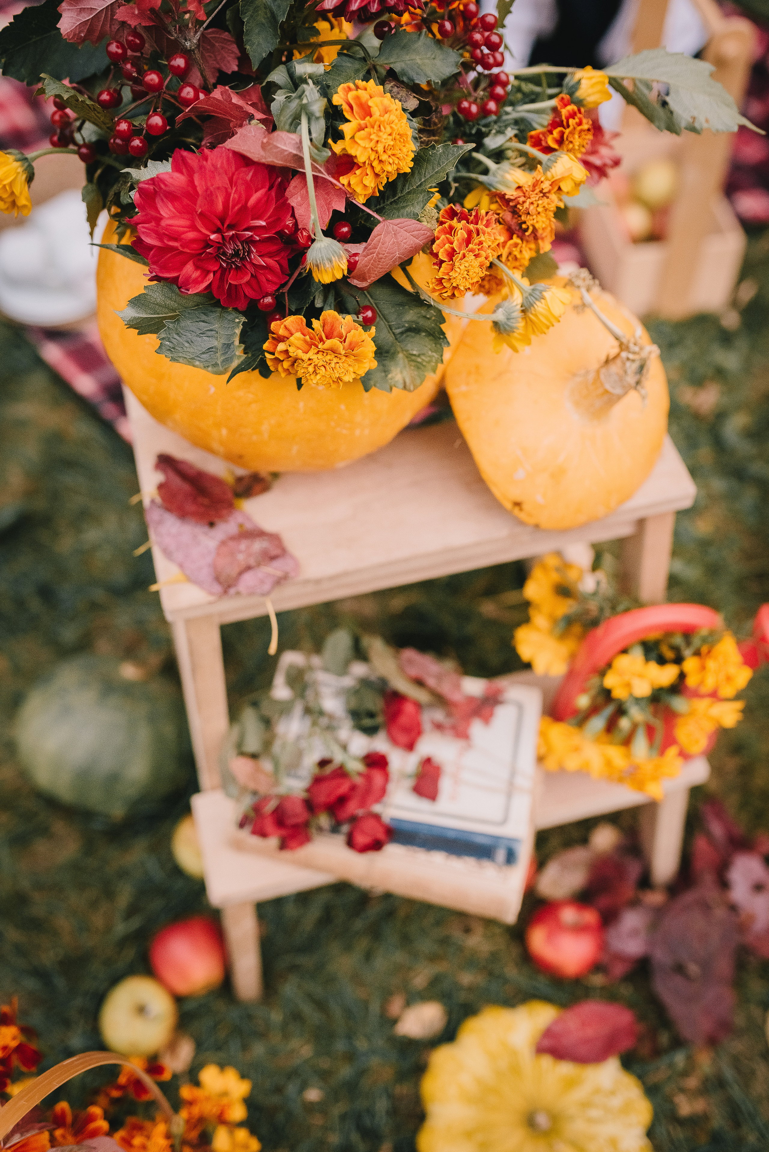 Осенний пикник. Семейный и детский фотограф в Туле