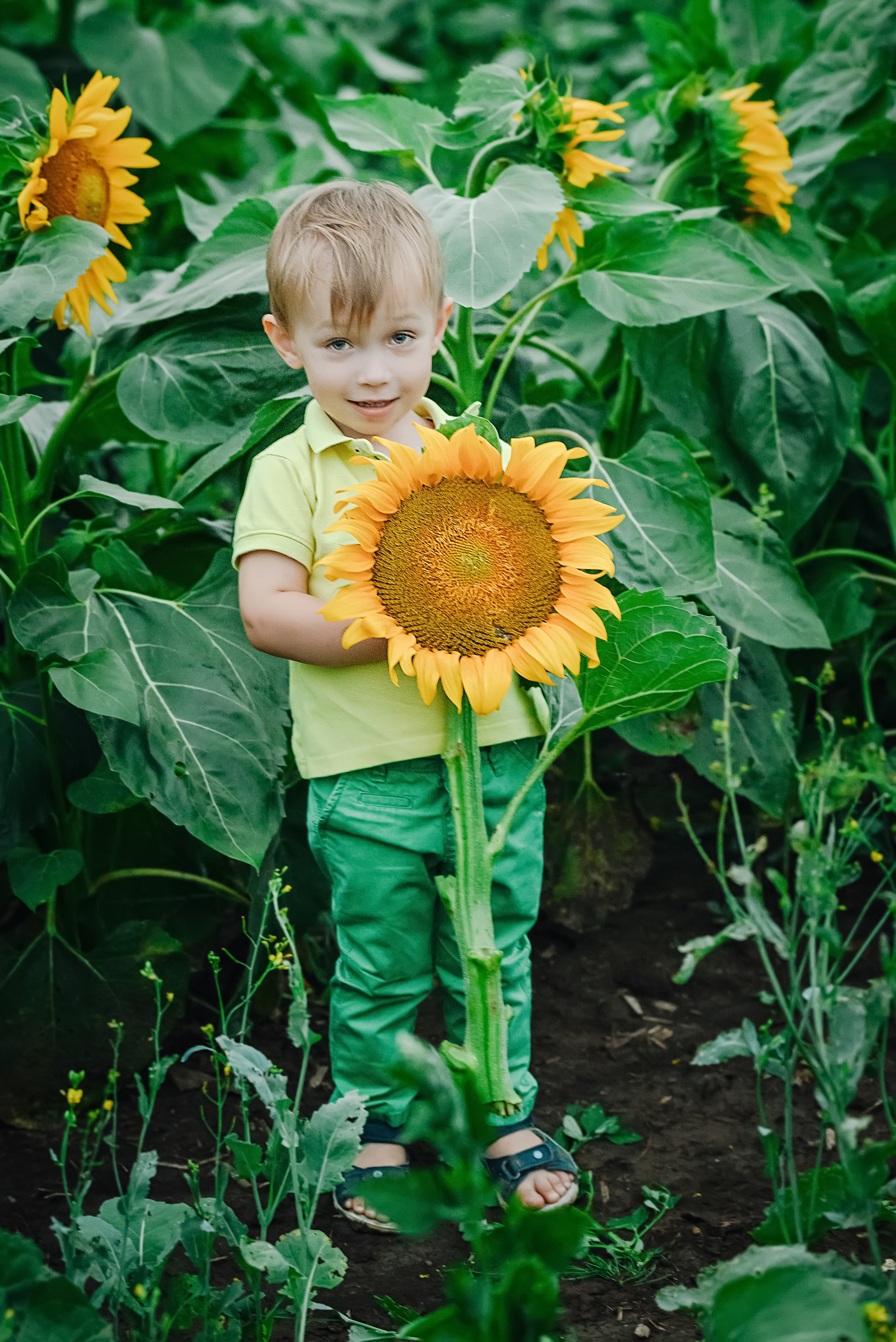 Яна Женя и Миша. Семейный и детский фотограф в Туле