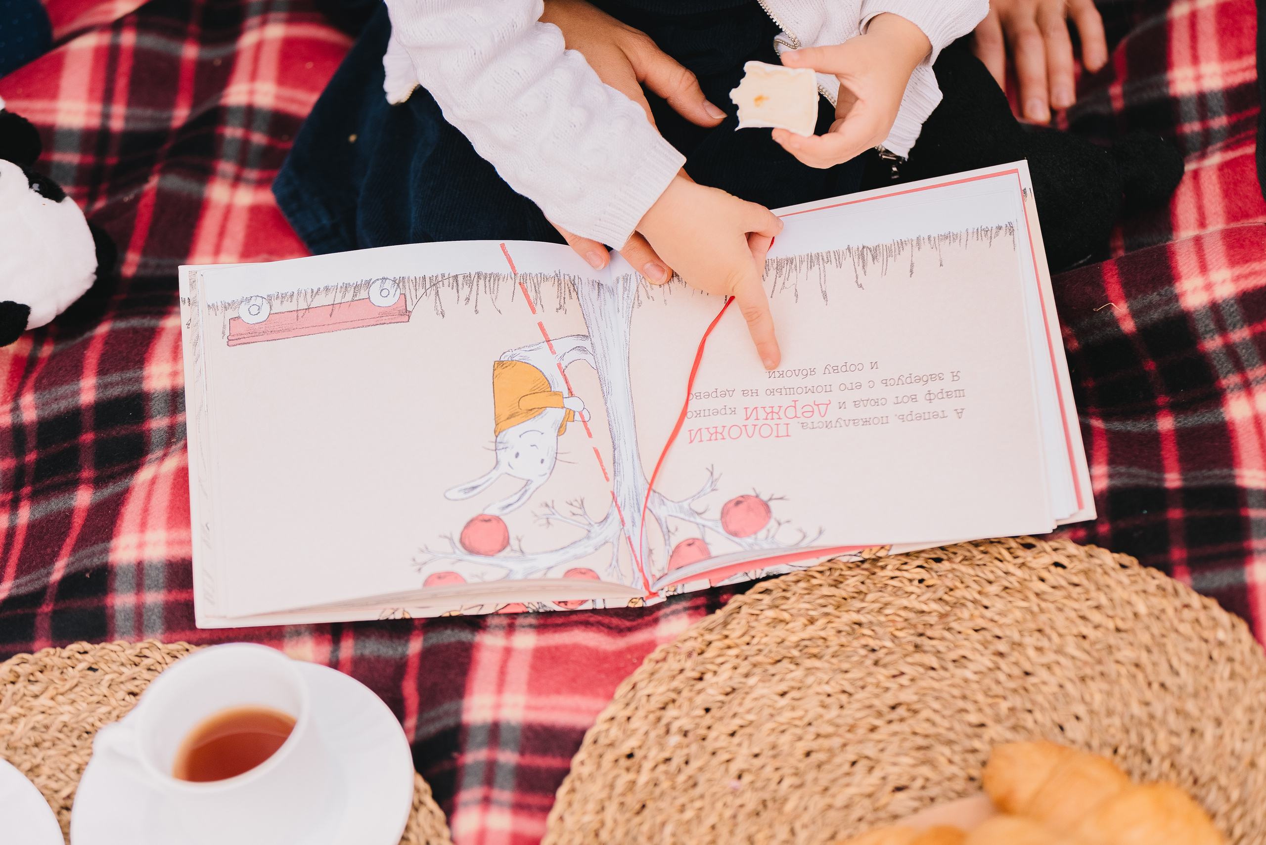 Осенний пикник. Семейный и детский фотограф в Туле