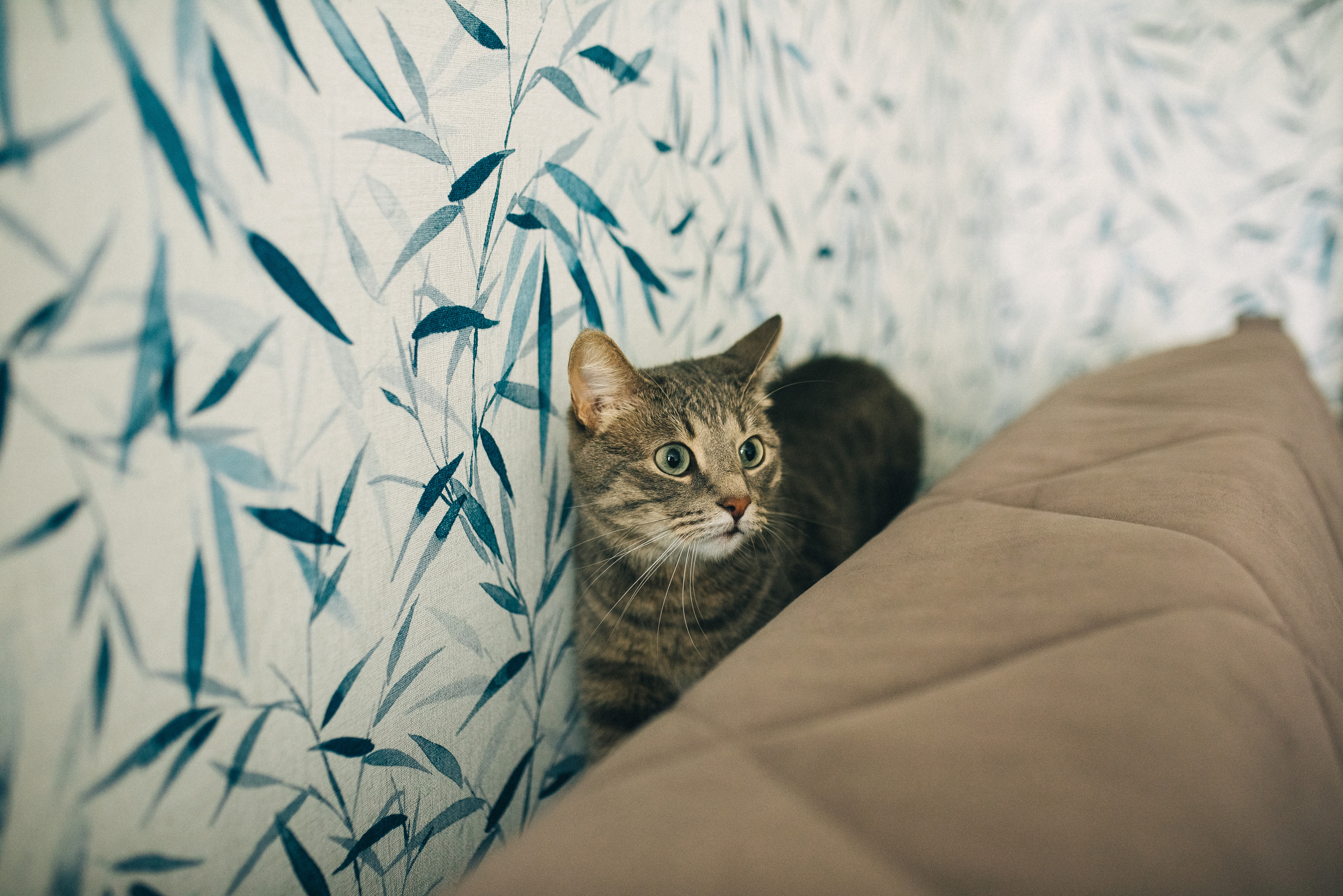 Петя+Яна=Вера. Семейный и детский фотограф в Туле