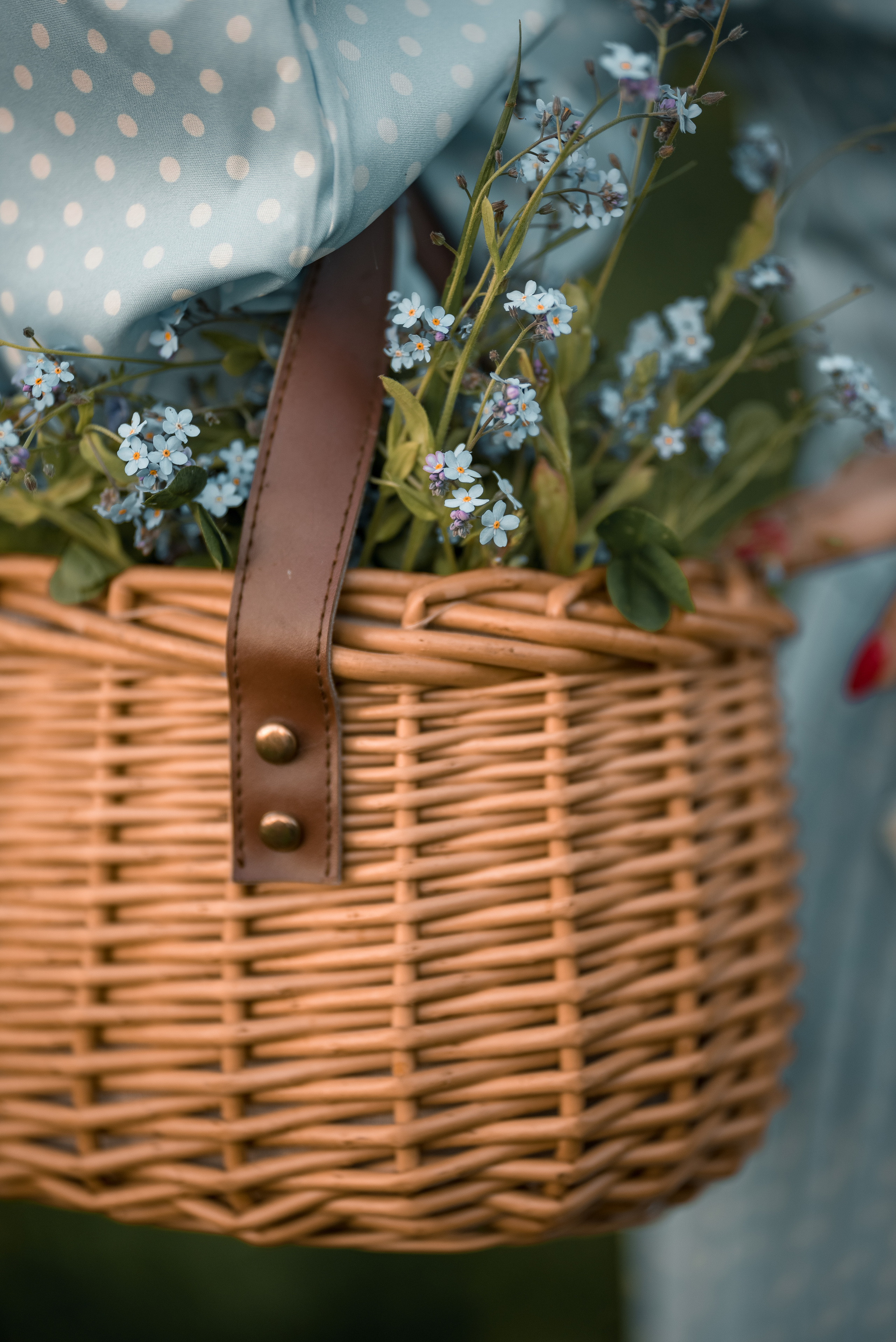 Летний вечер на даче. Семейный и детский фотограф в Туле