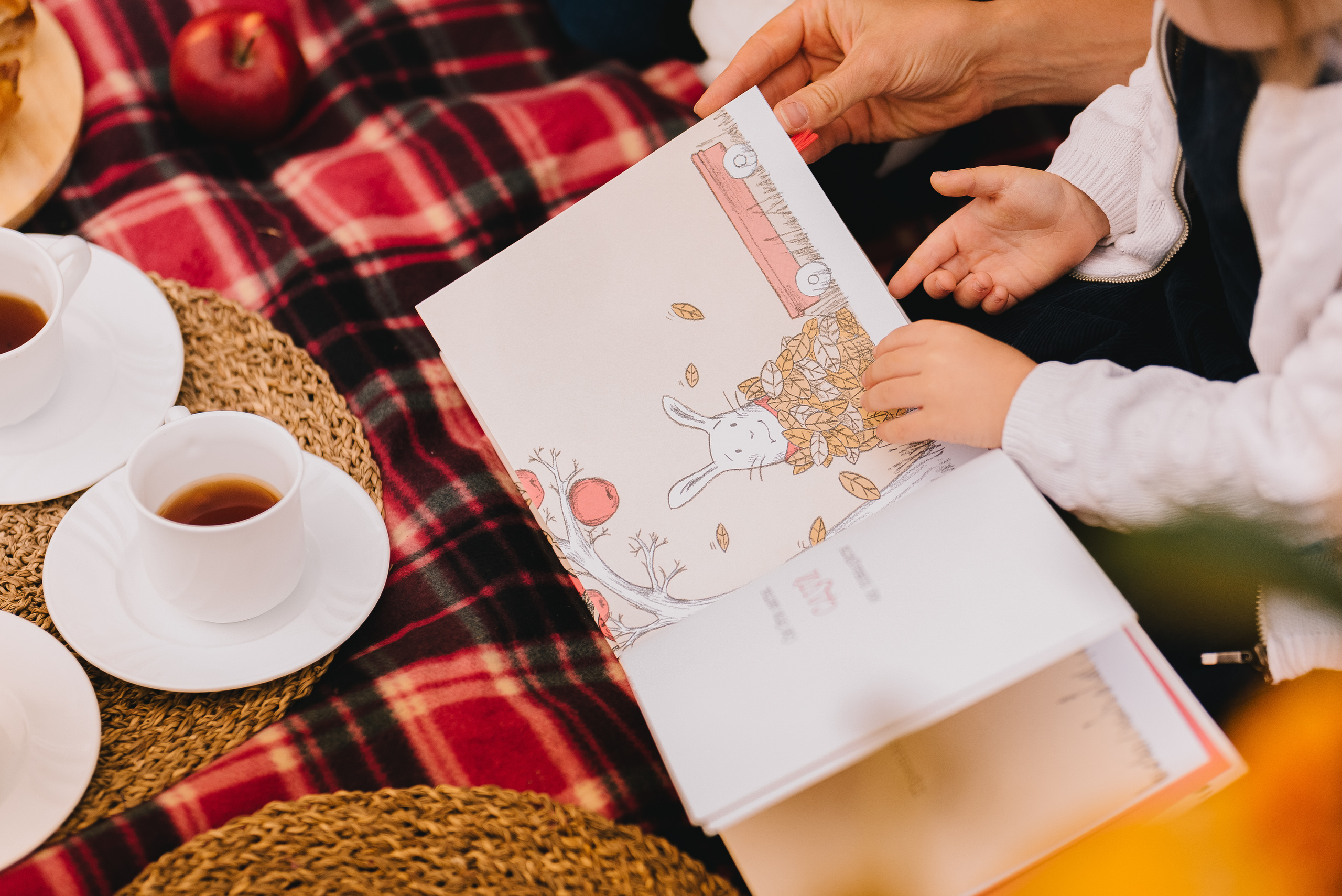 Осенний пикник. Семейный и детский фотограф в Туле
