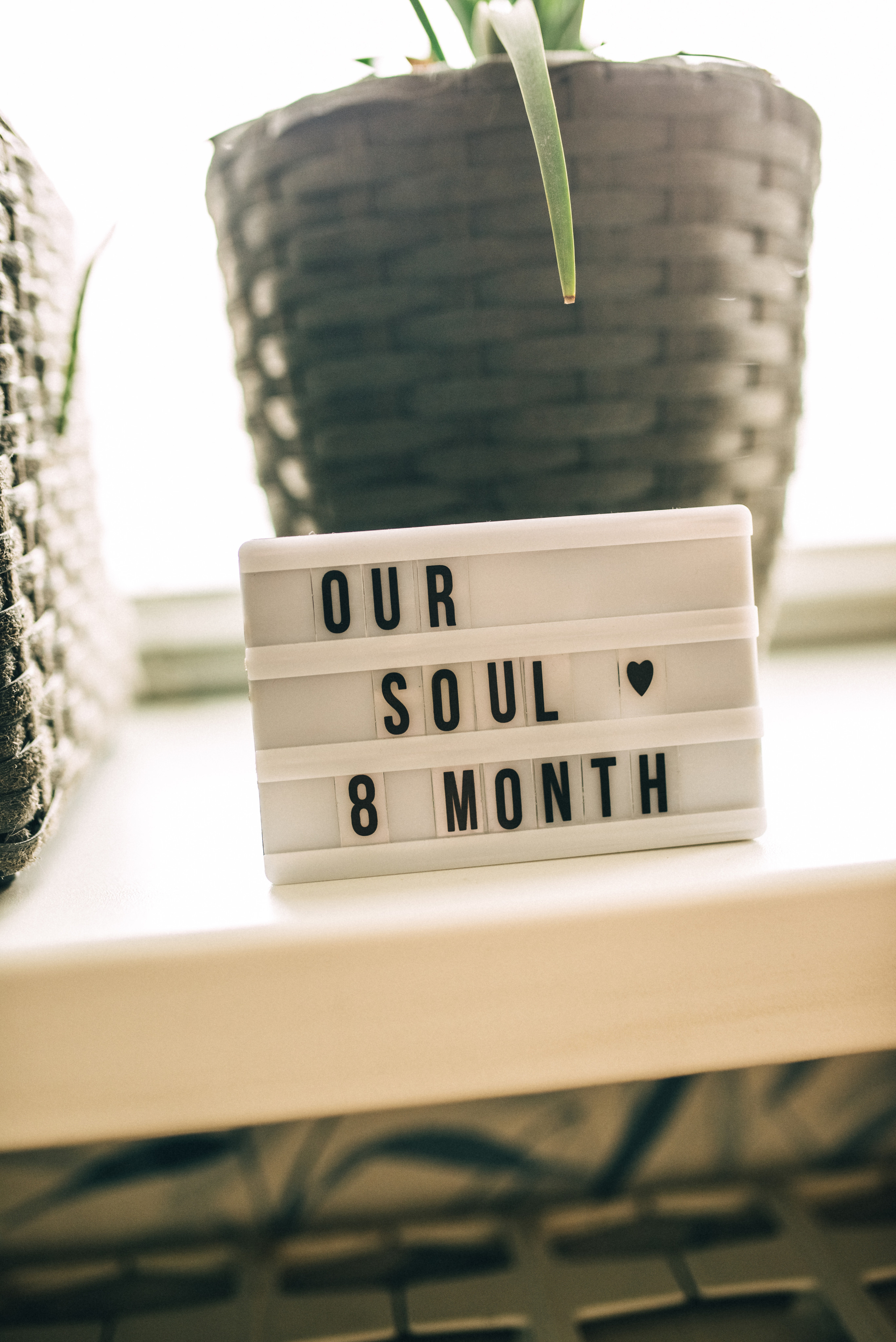 Петя+Яна=Вера. Семейный и детский фотограф в Туле