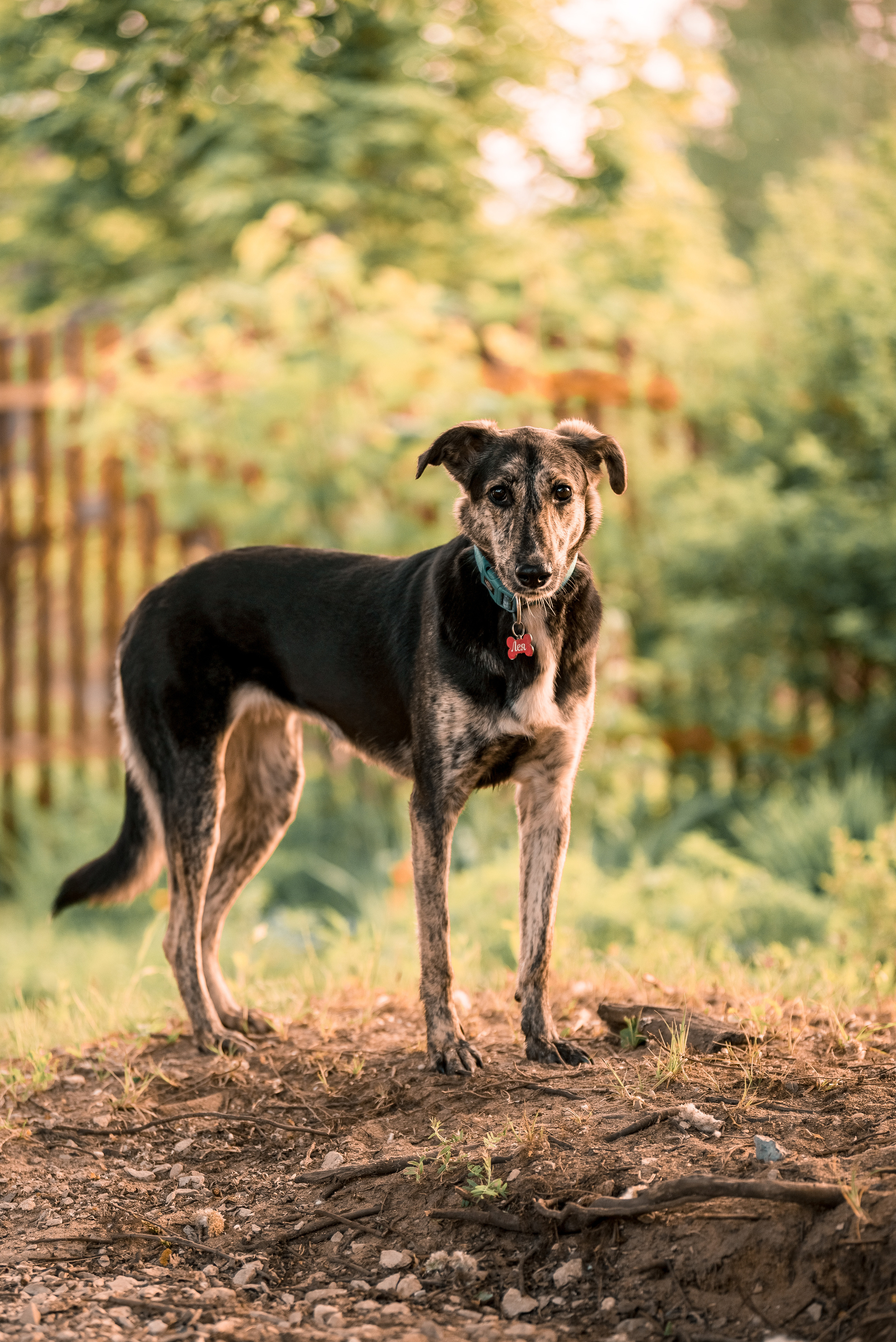 Летний вечер на даче. Семейный и детский фотограф в Туле
