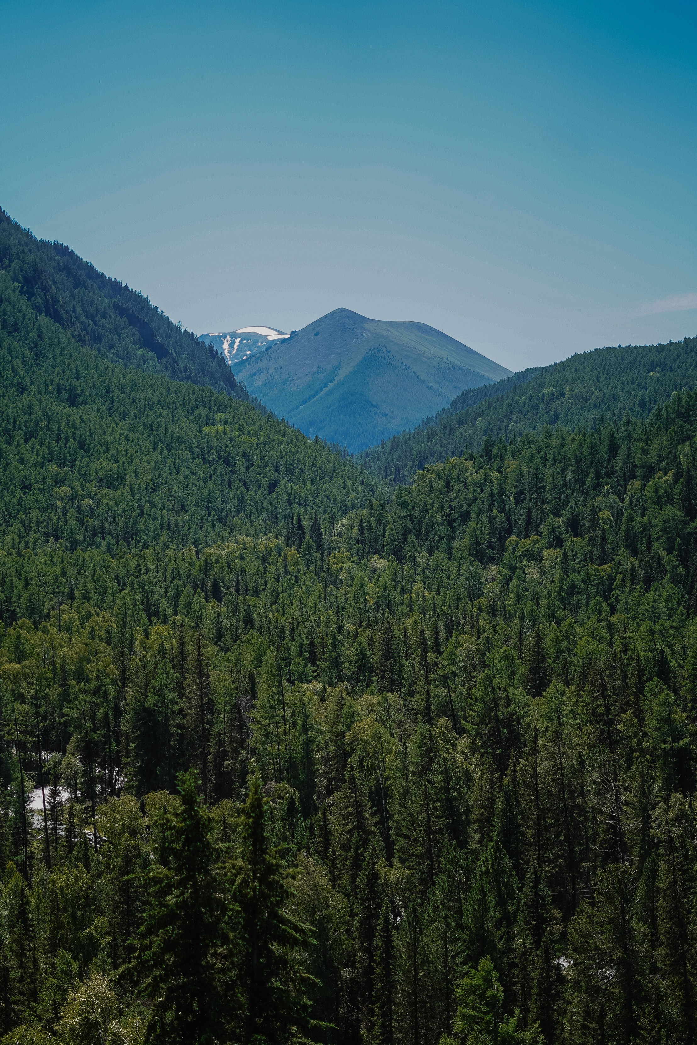 Алтай, поход к Белухе 2023. Фотограф Ольга Пучкова