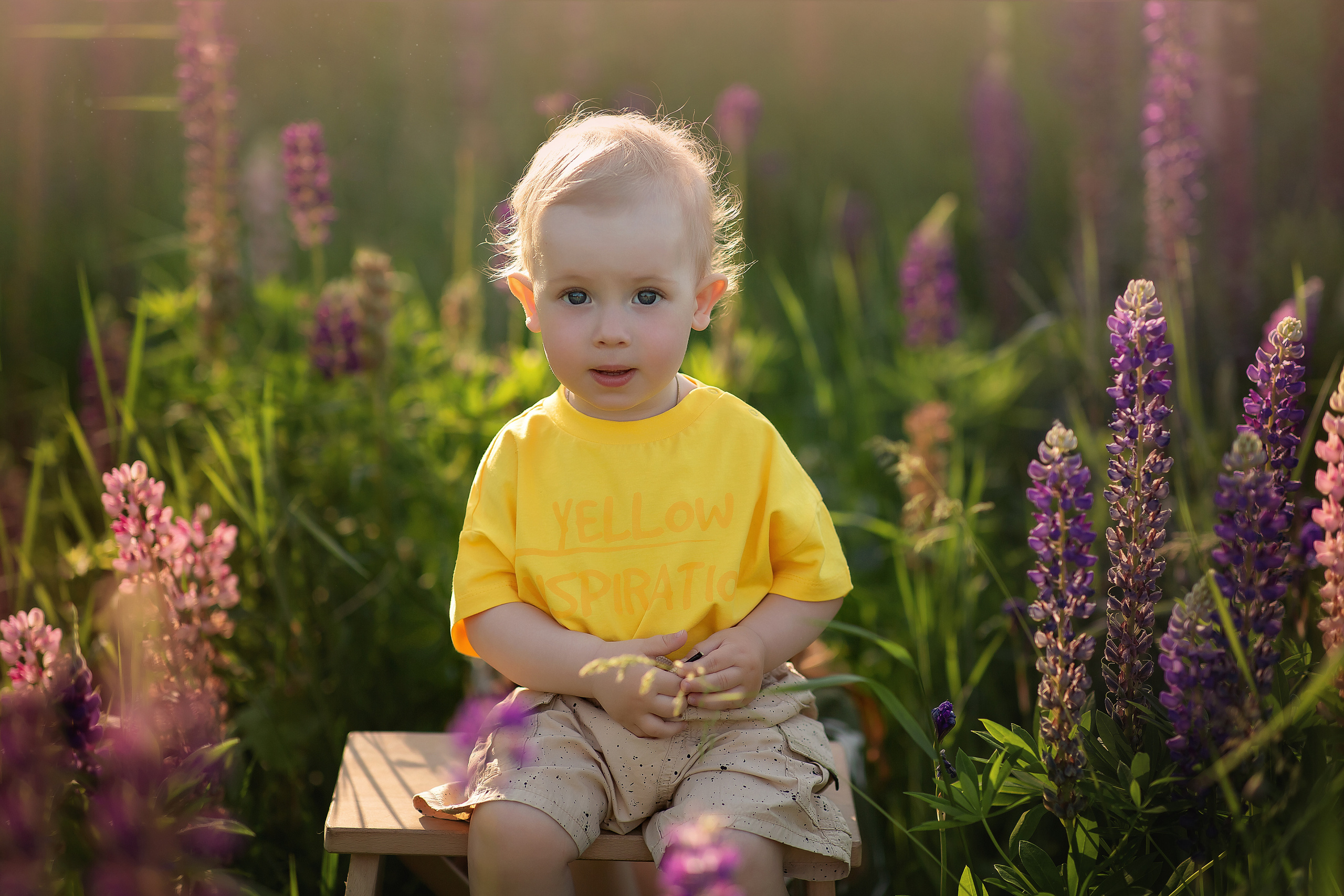 Люпины семейная съемка. Фотограф на крещение и венчание