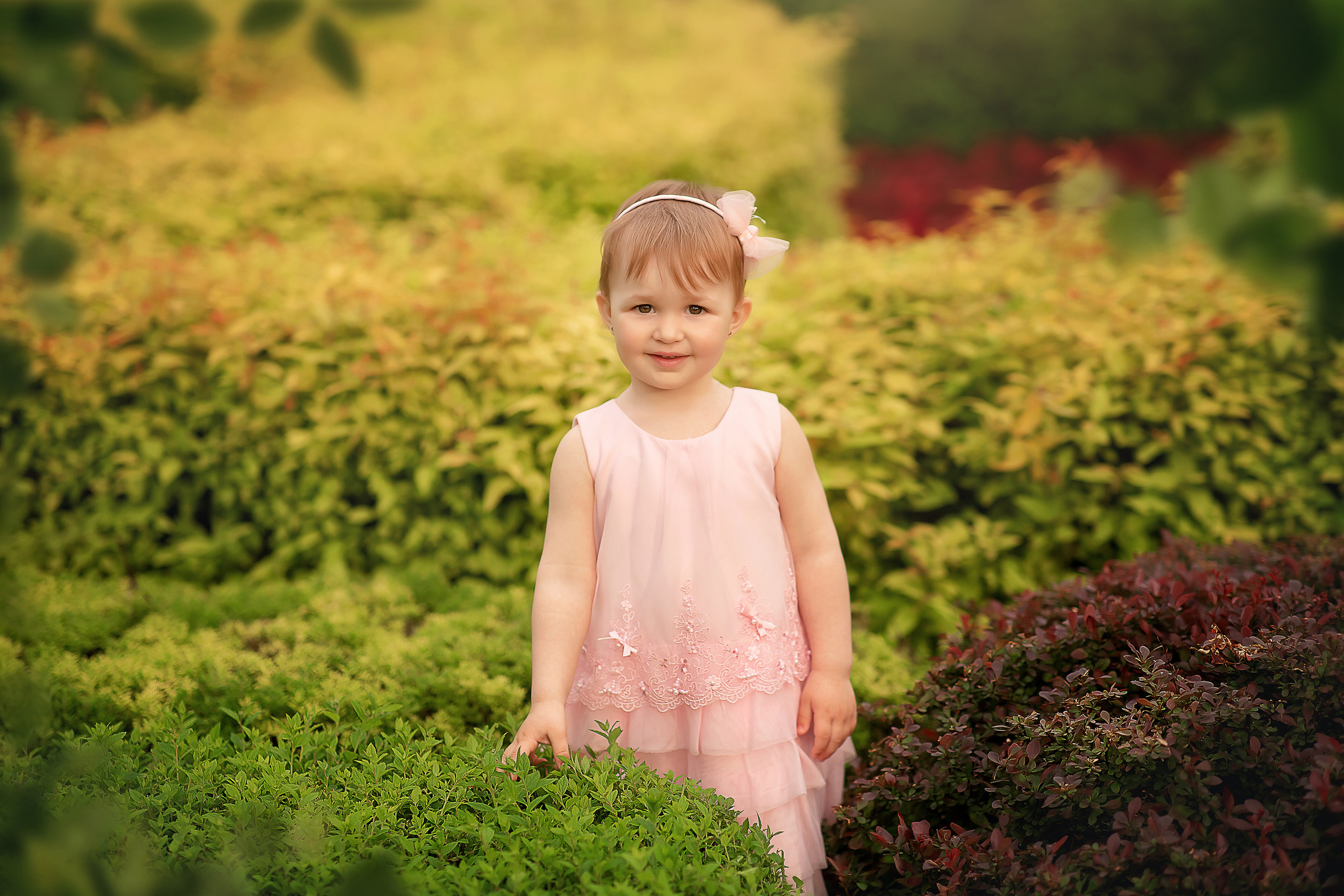 Карина Ольденбургский дворец. Фотограф на крещение и венчание