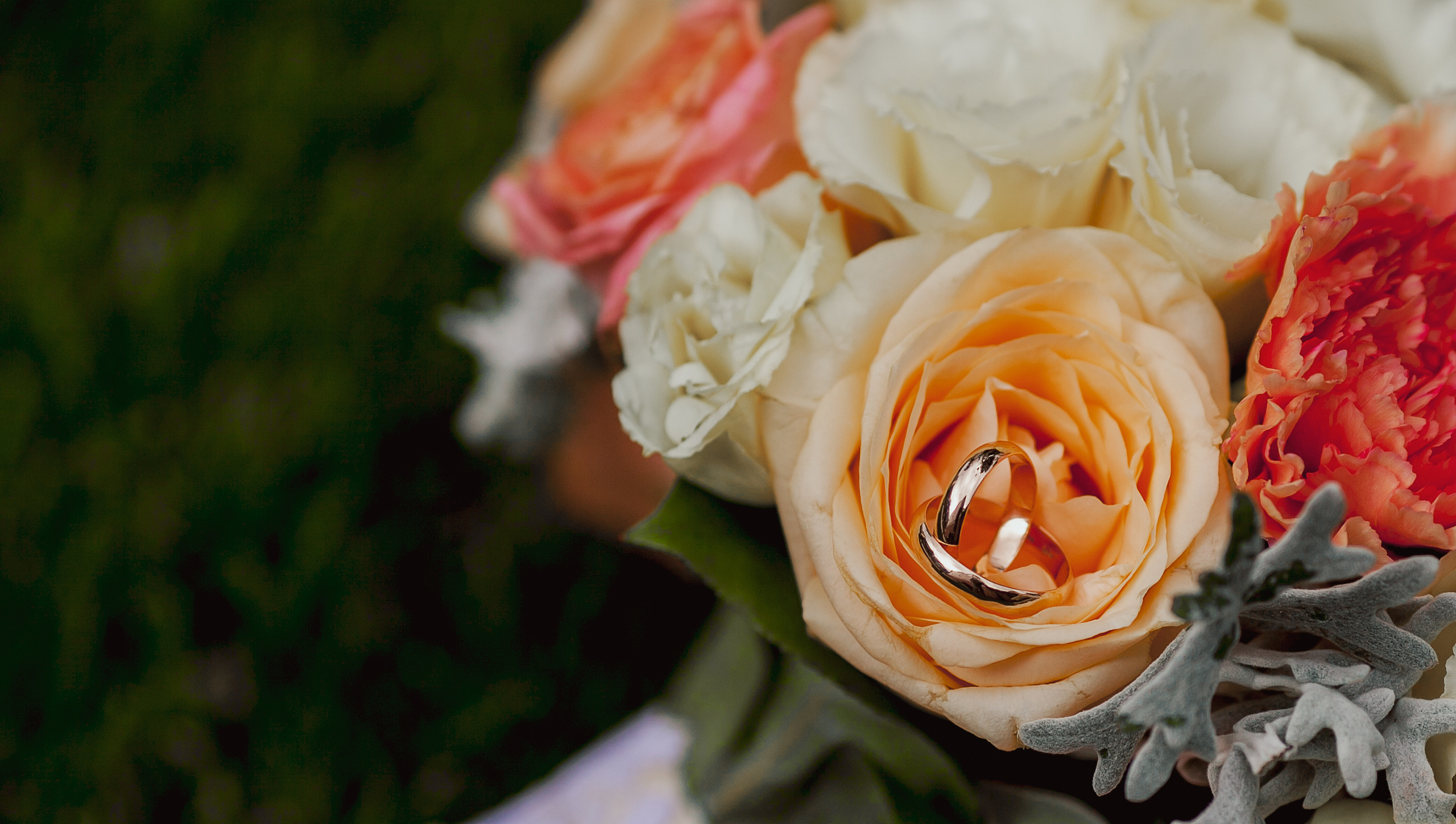 Андрей и Любовь. Свадебный фотограф в Краснодаре Михаил Бобрышов