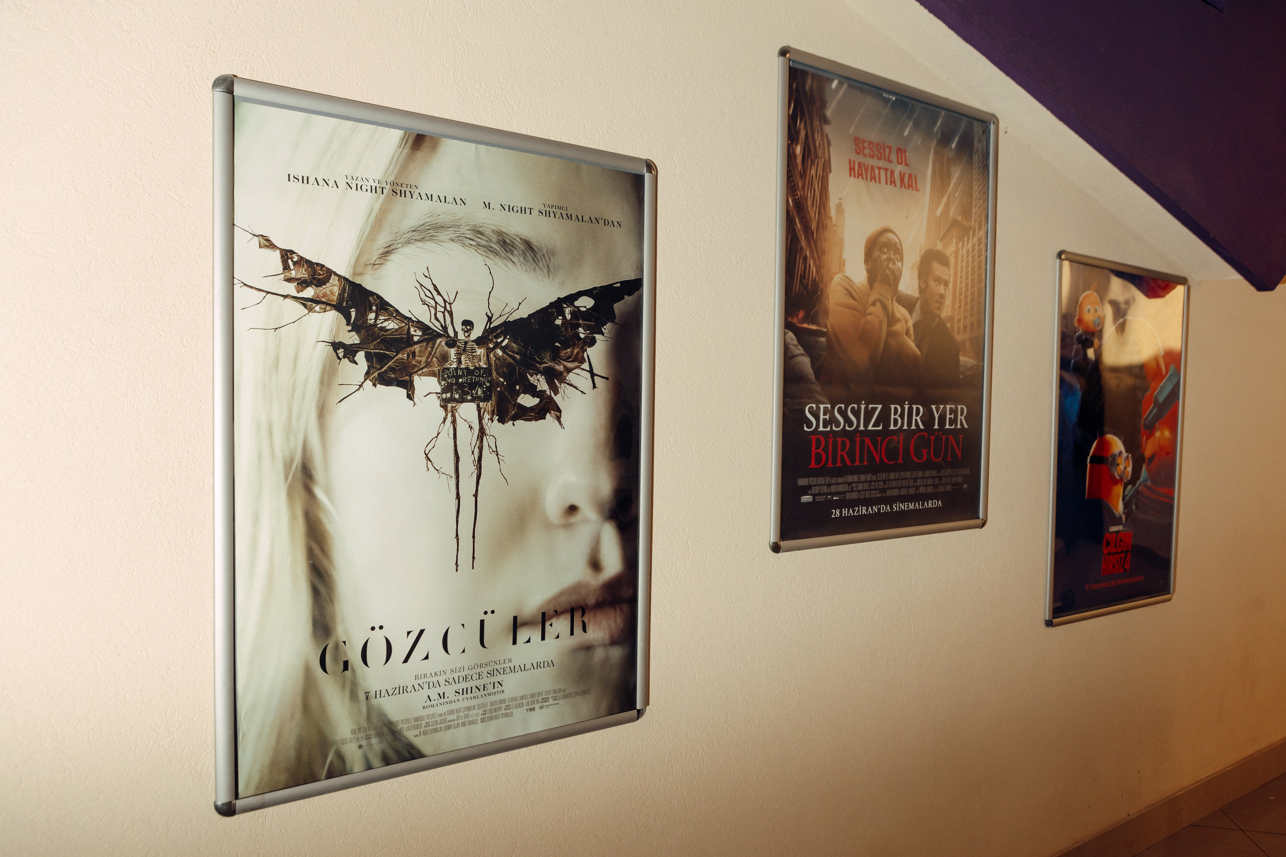 Orlando Starlux. Photographer in Batumi, Georgia Pavel Sharnikov