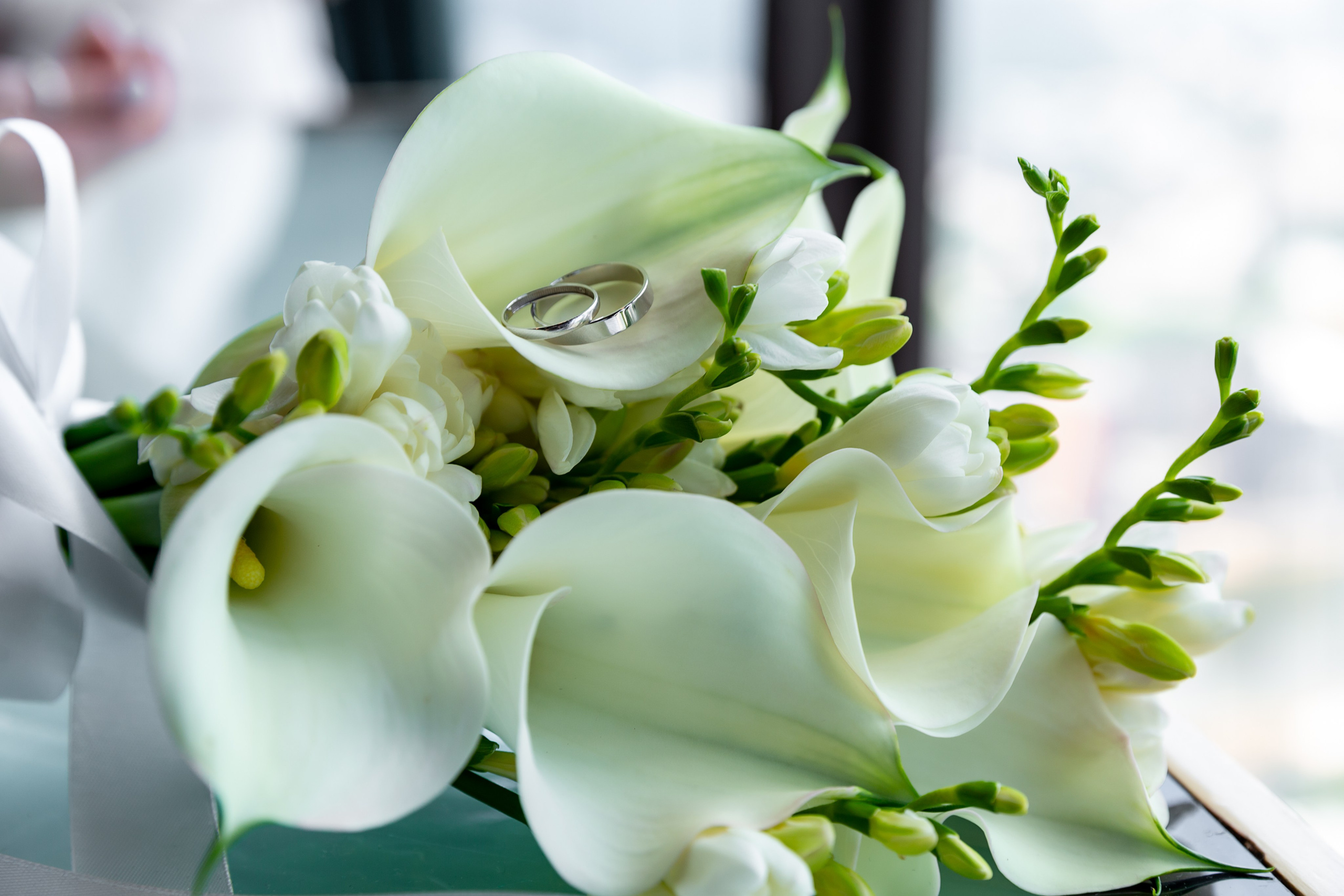 Ксения и Антон 18 июля. Фотограф Елена Лагода